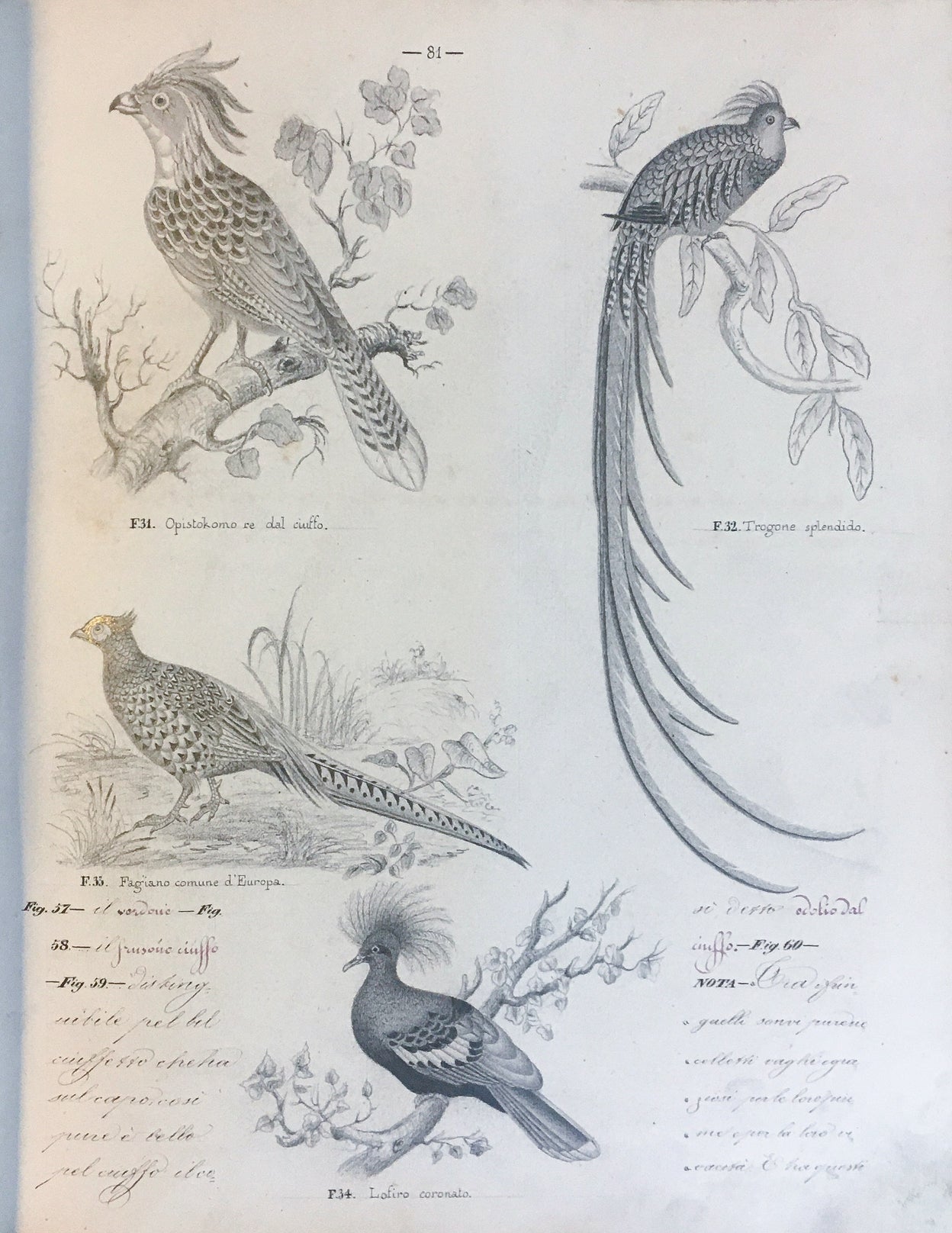[Three illustrated notebooks.]