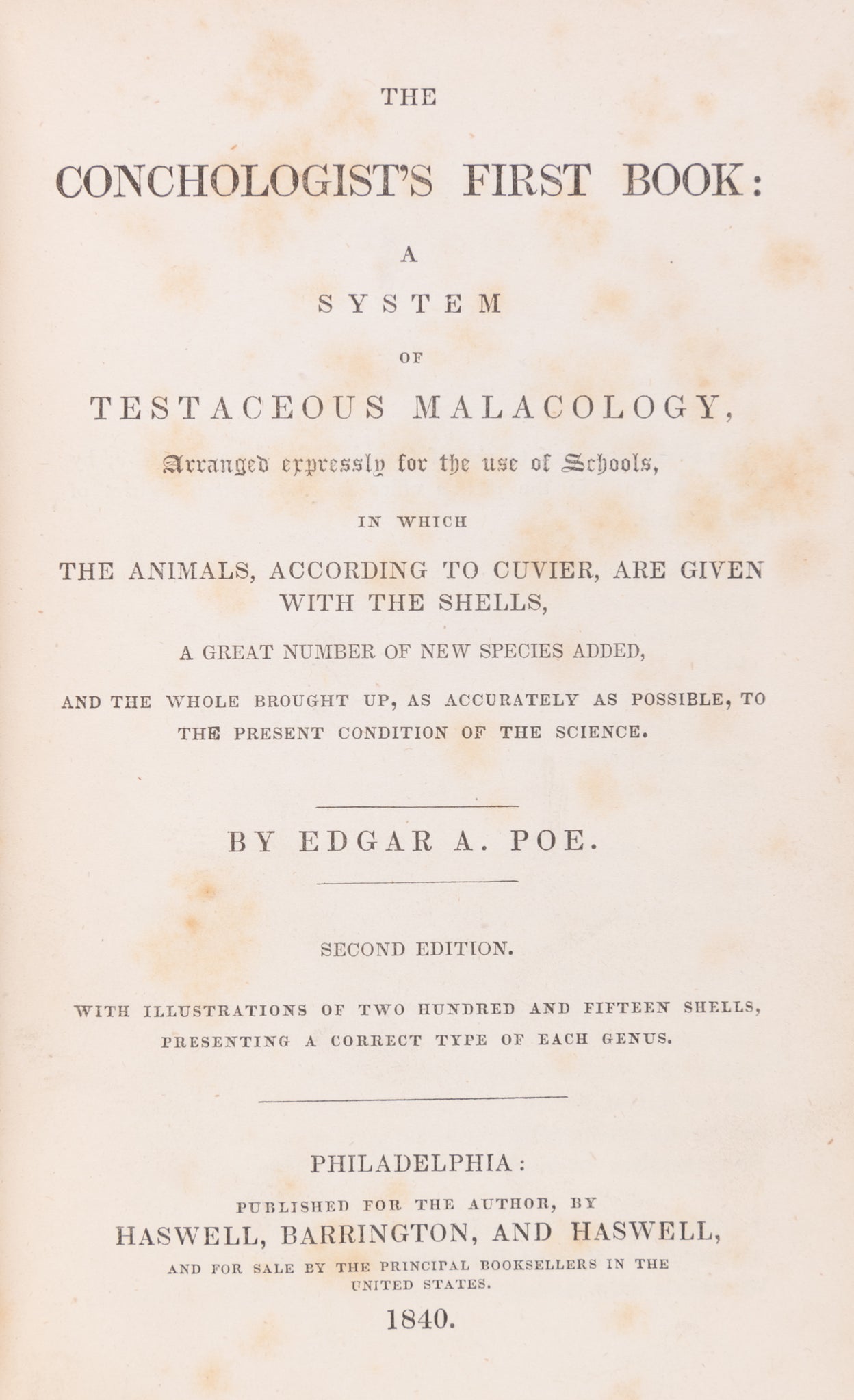 The Conchologist's First Book: a System of Testaceous Malacology, arranged expressly for the use of Schools, in which the animals, according to the cuvier, are given with the shells, a great number of new species added, and the whole brought up, as accura