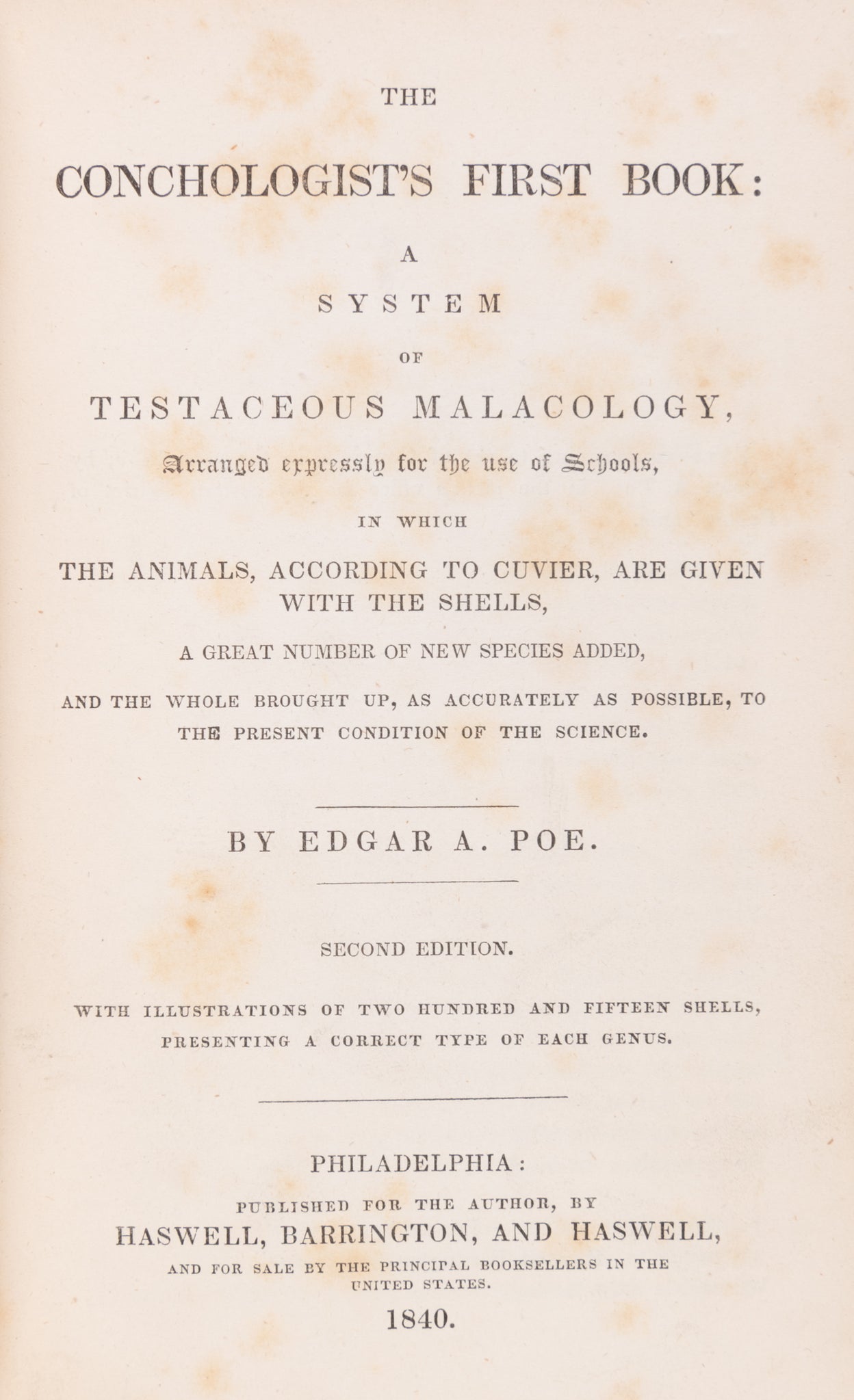 The Conchologist's First Book: a System of Testaceous Malacology, arranged expressly for the use of Schools, in which the animals, according to the cuvier, are given with the shells, a great number of new species added, and the whole brought up, as accura