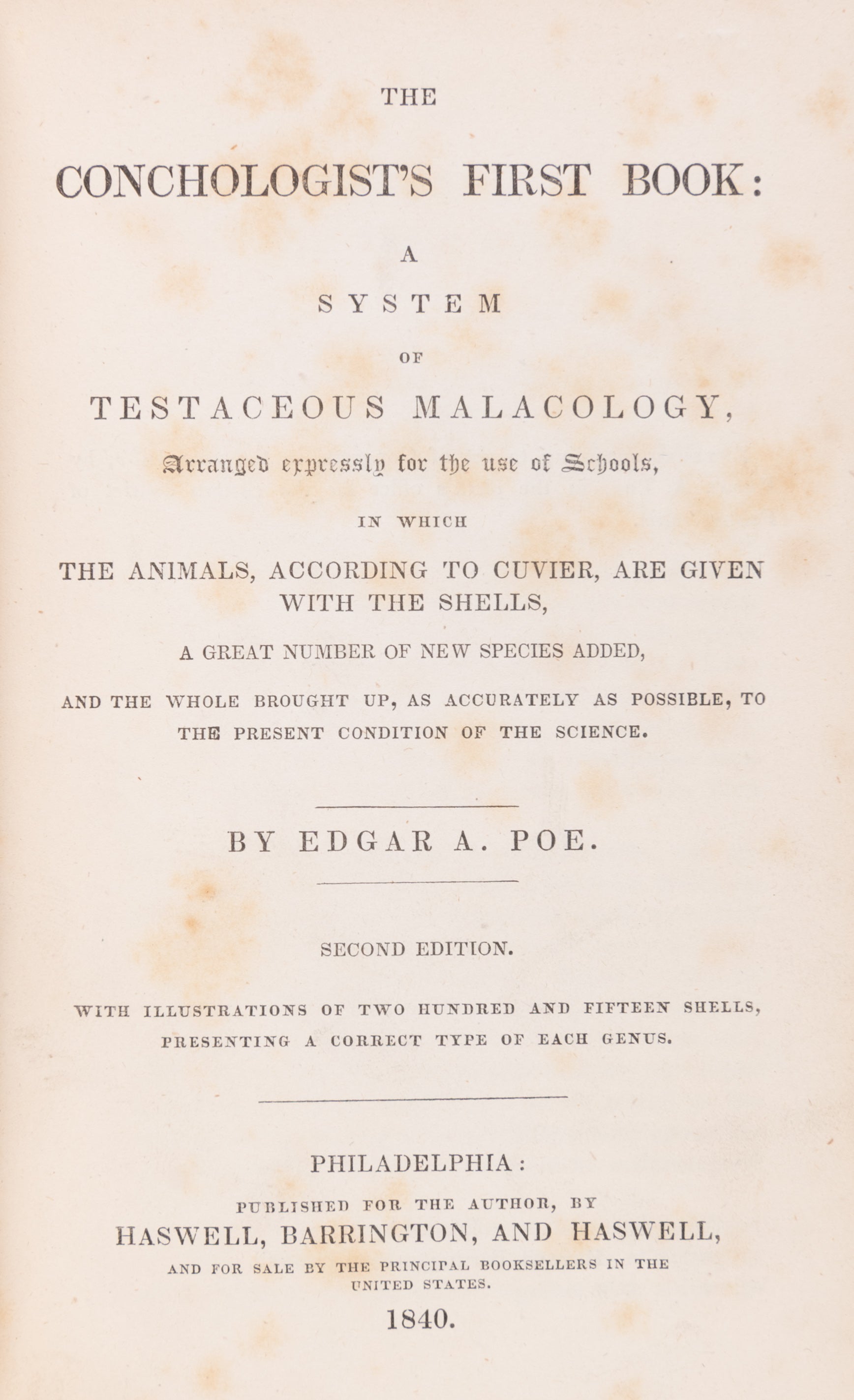 The Conchologist's First Book: a System of Testaceous Malacology, arranged expressly for the use of Schools, in which the animals, according to the cuvier, are given with the shells, a great number of new species added, and the whole brought up, as accura