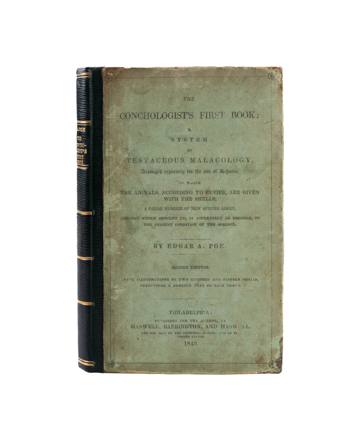 The Conchologist's First Book: a System of Testaceous Malacology, arranged expressly for the use of Schools, in which the animals, according to the cuvier, are given with the shells, a great number of new species added, and the whole brought up, as accura