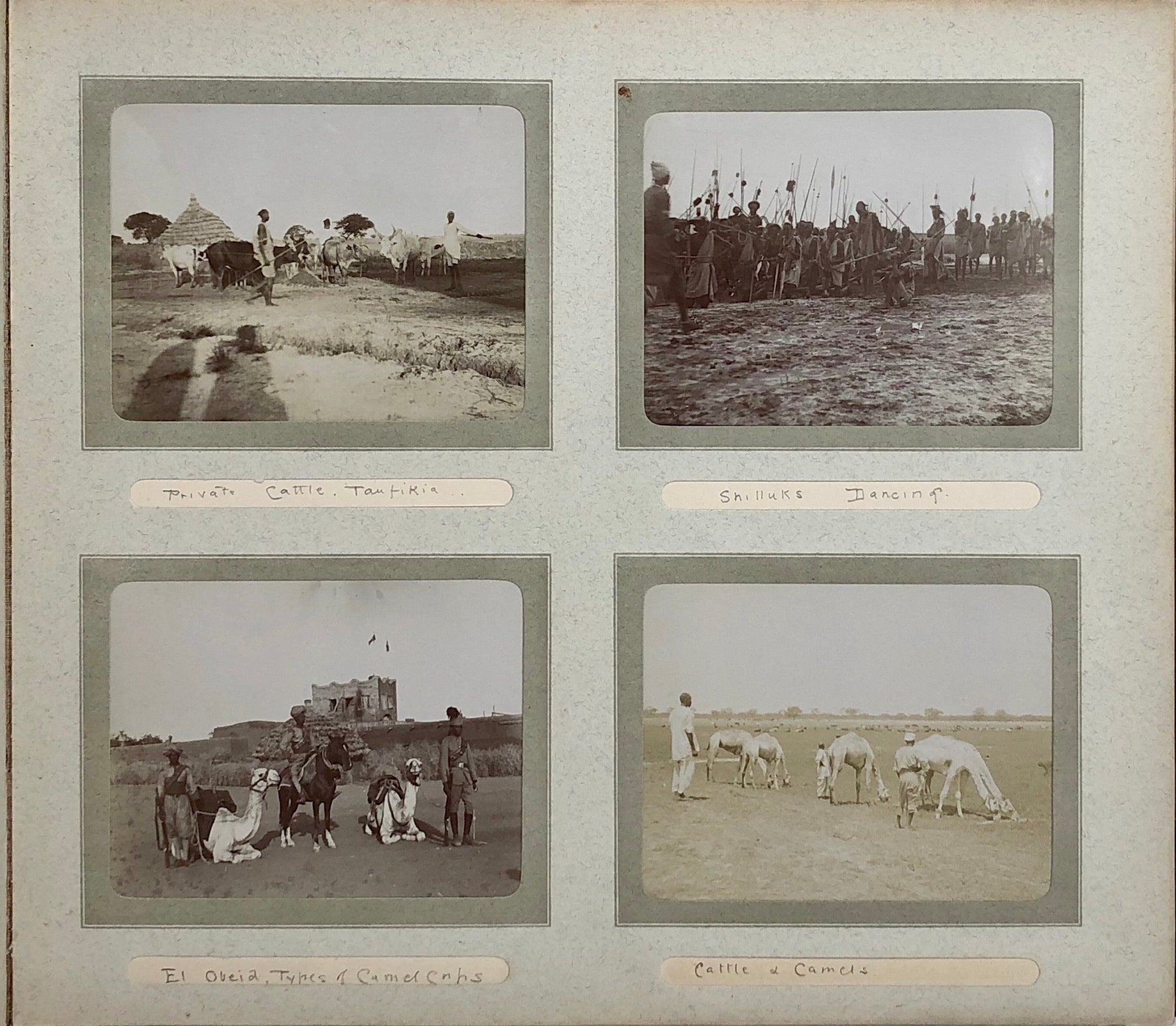 A well captioned snap album depicting troops, camel manoeuvres, inspections connected with the 15th Sudanese regiment.