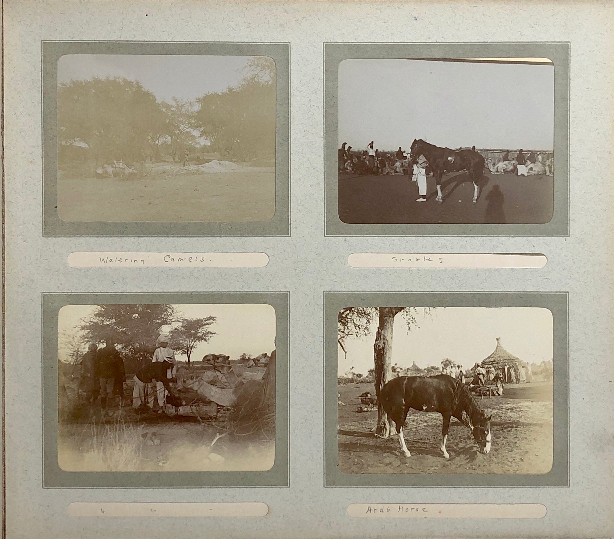 A well captioned snap album depicting troops, camel manoeuvres, inspections connected with the 15th Sudanese regiment.