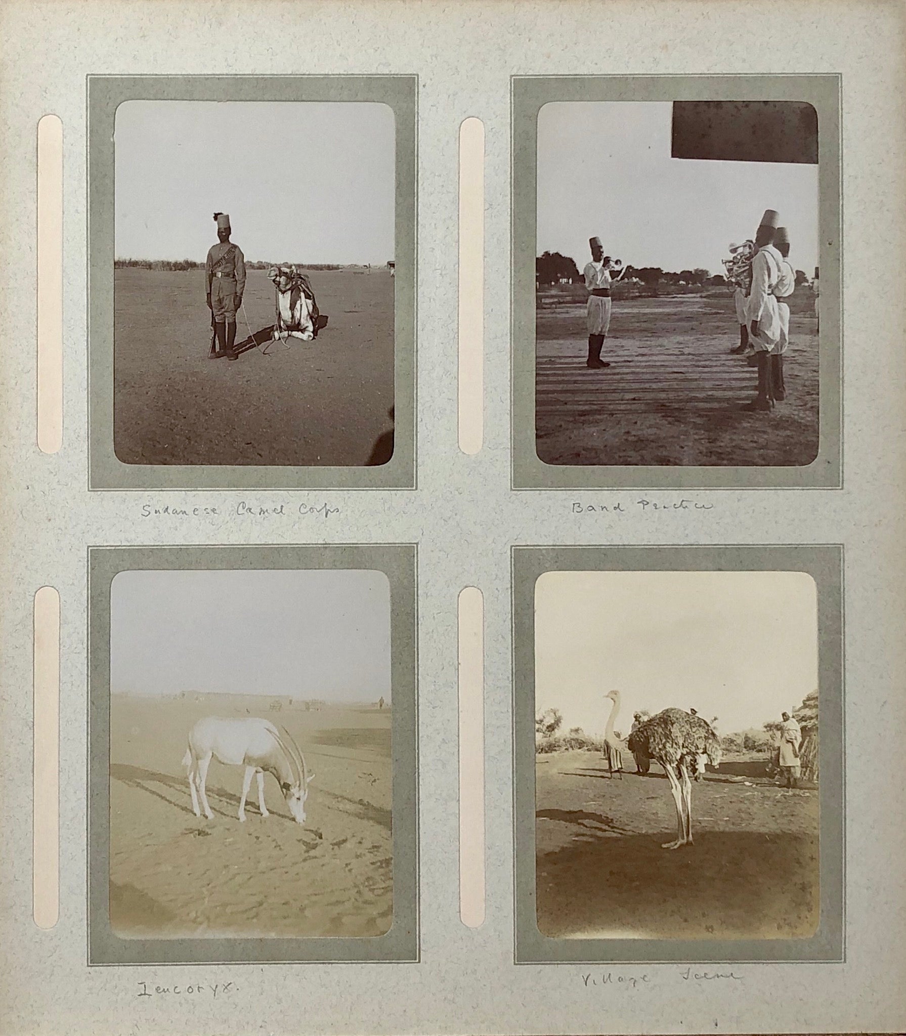 A well captioned snap album depicting troops, camel manoeuvres, inspections connected with the 15th Sudanese regiment.