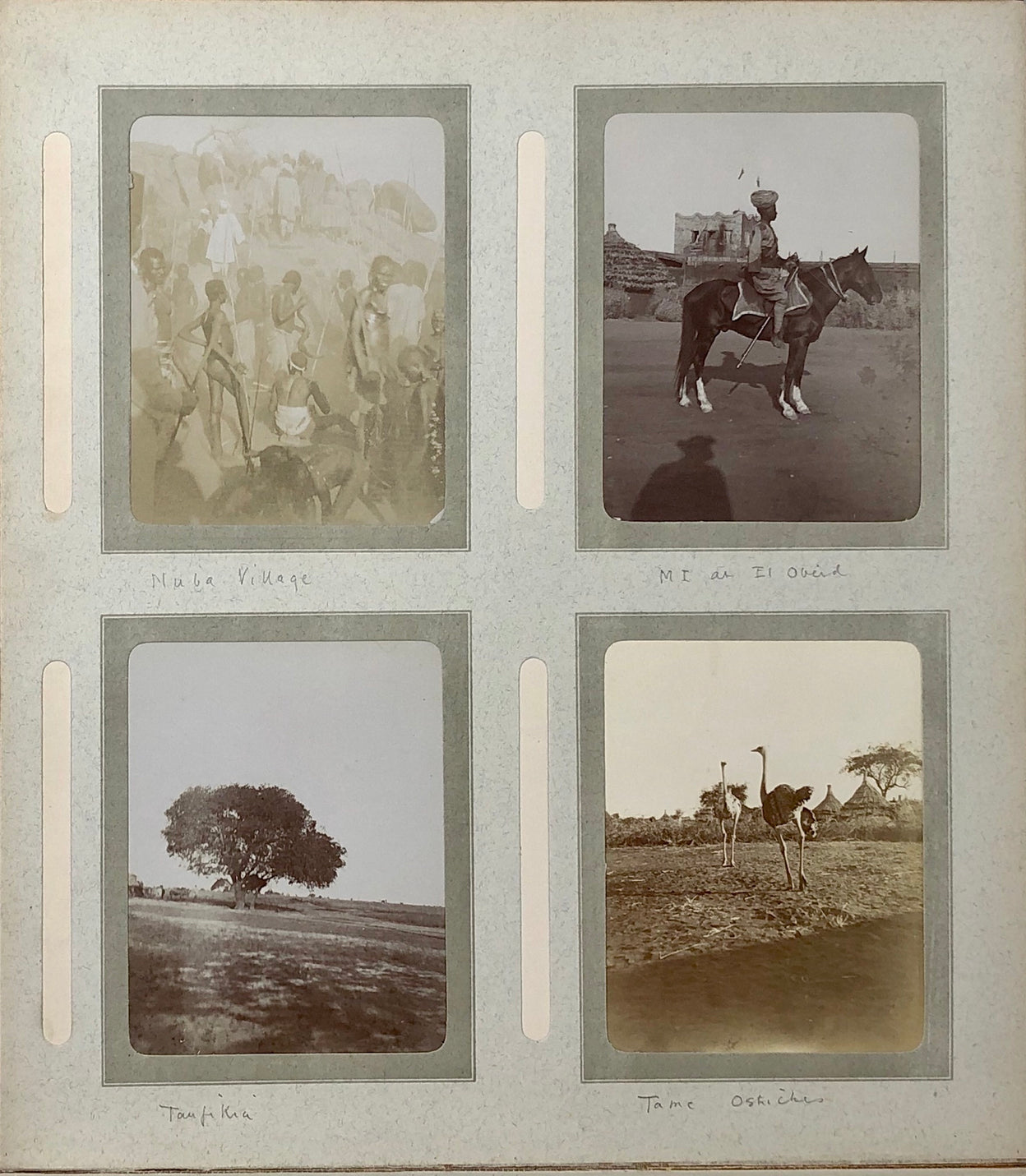 A well captioned snap album depicting troops, camel manoeuvres, inspections connected with the 15th Sudanese regiment.