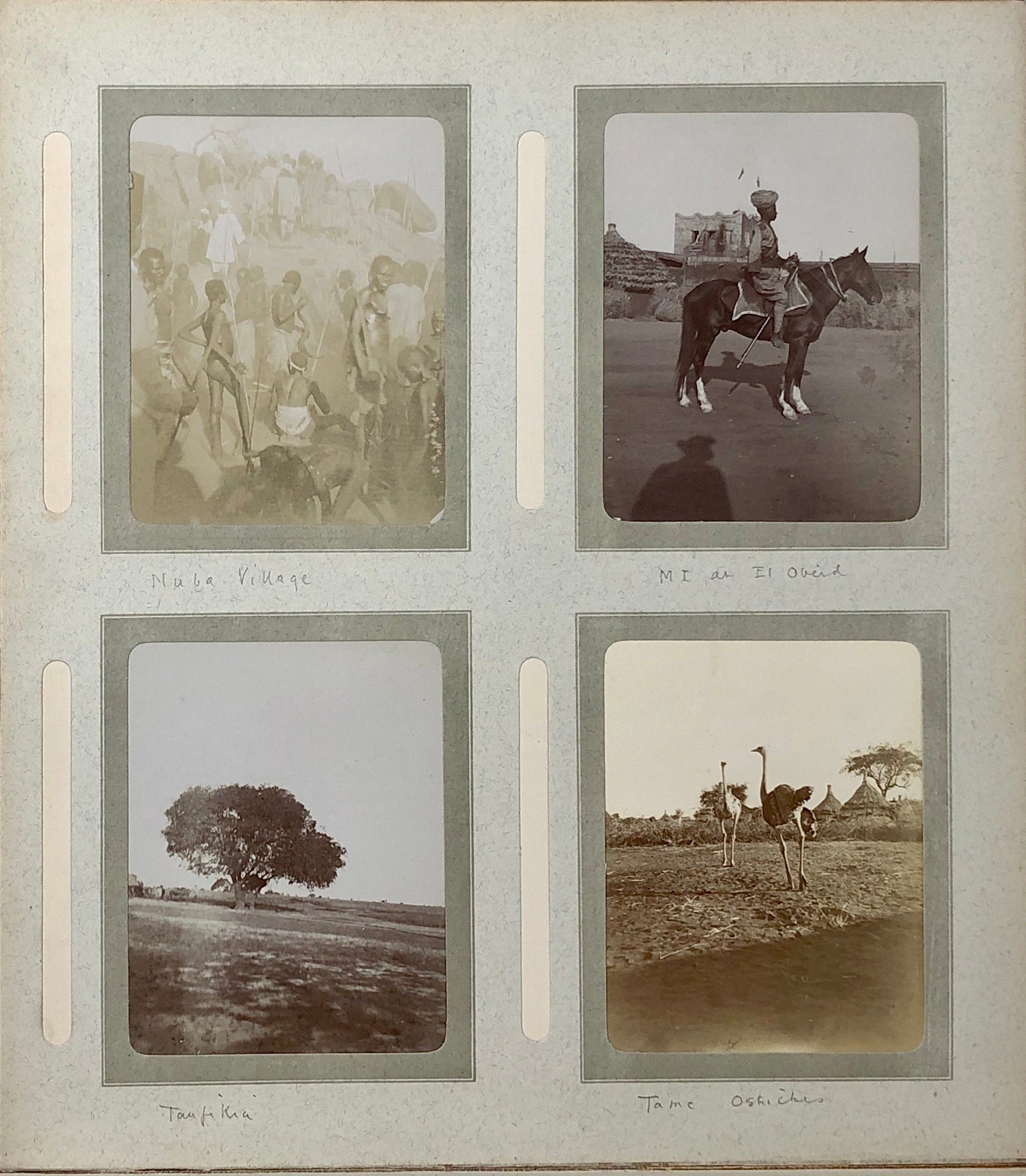 A well captioned snap album depicting troops, camel manoeuvres, inspections connected with the 15th Sudanese regiment.