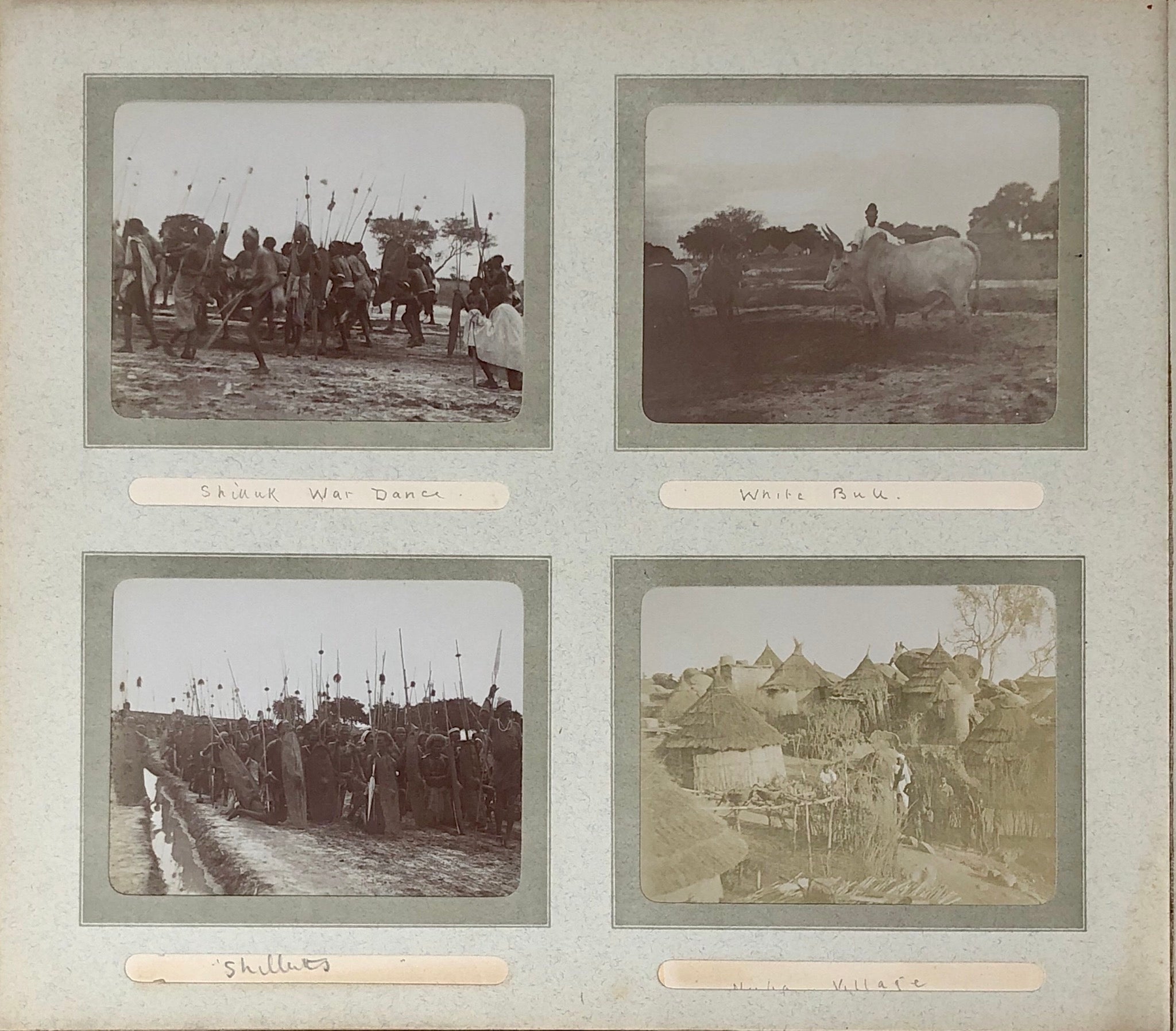 A well captioned snap album depicting troops, camel manoeuvres, inspections connected with the 15th Sudanese regiment.