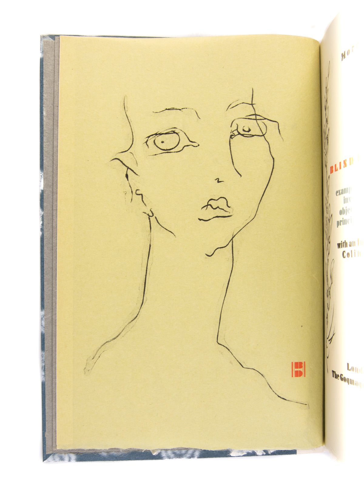 Disingenuous Drawing Example Blind Drawings, Examples of an Exercise Investigating the Objective/Su ...