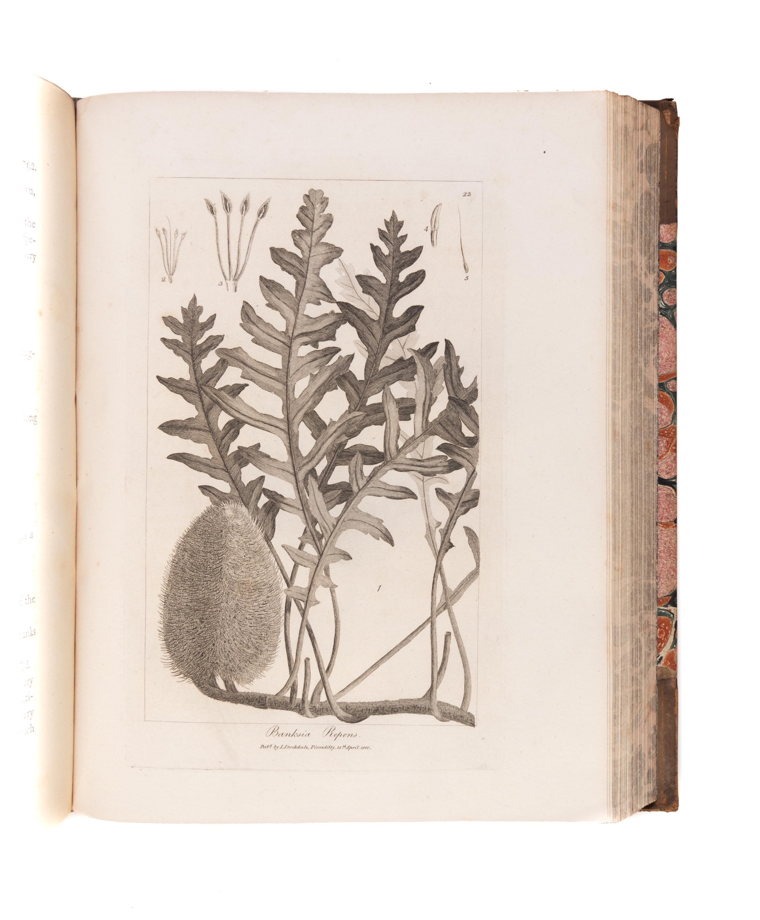Voyage in search of La Perouse