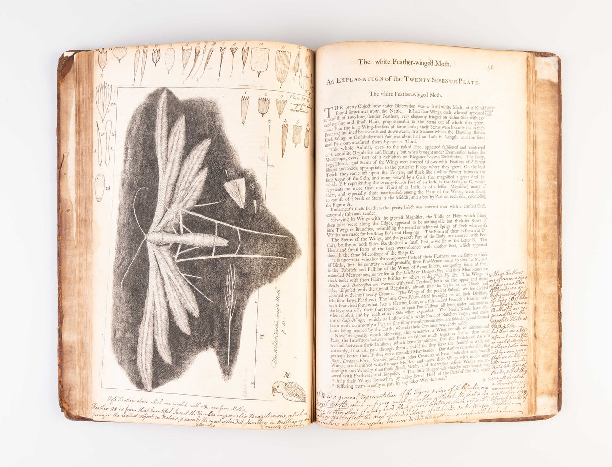 Micrographia Restaurata: