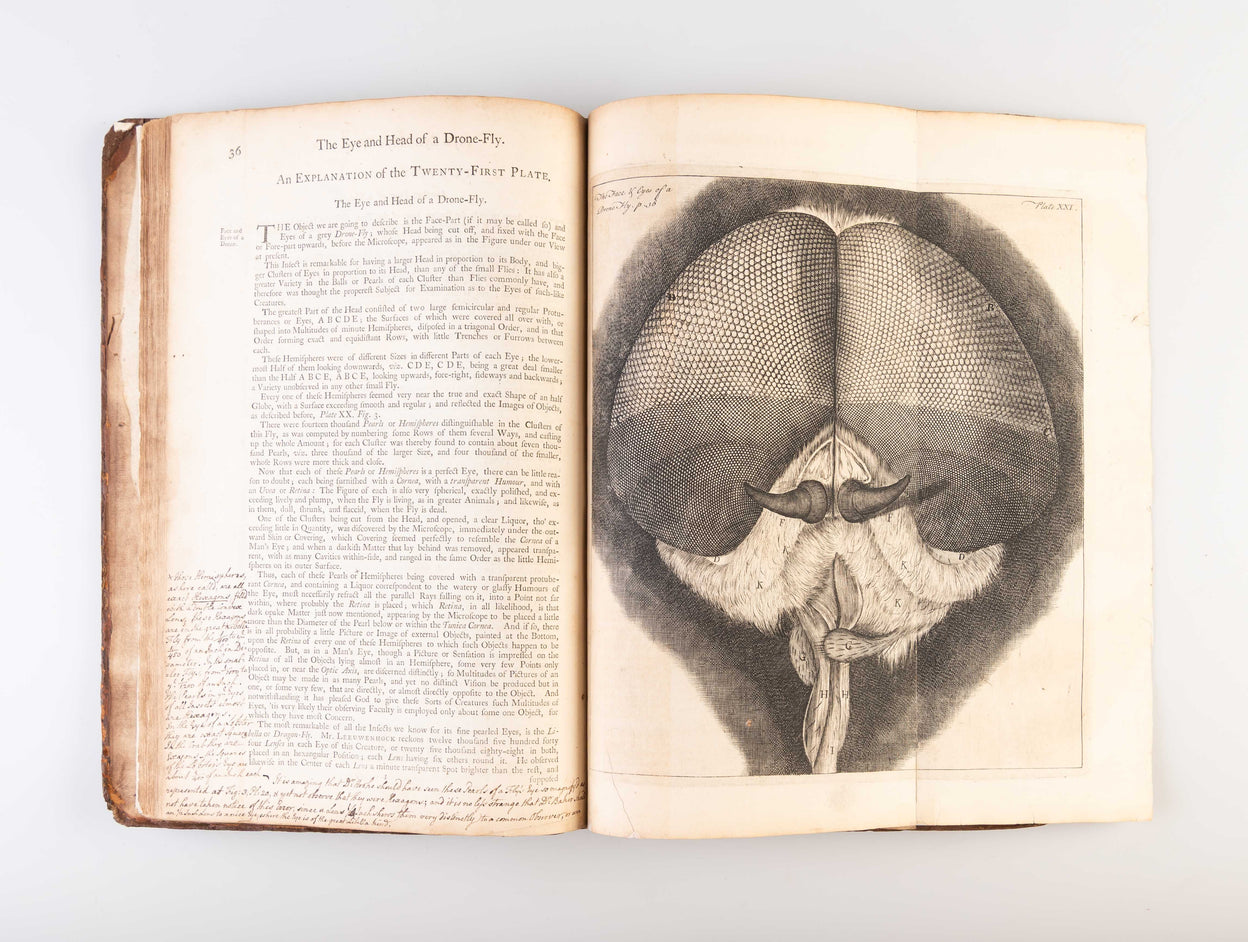 Micrographia Restaurata: