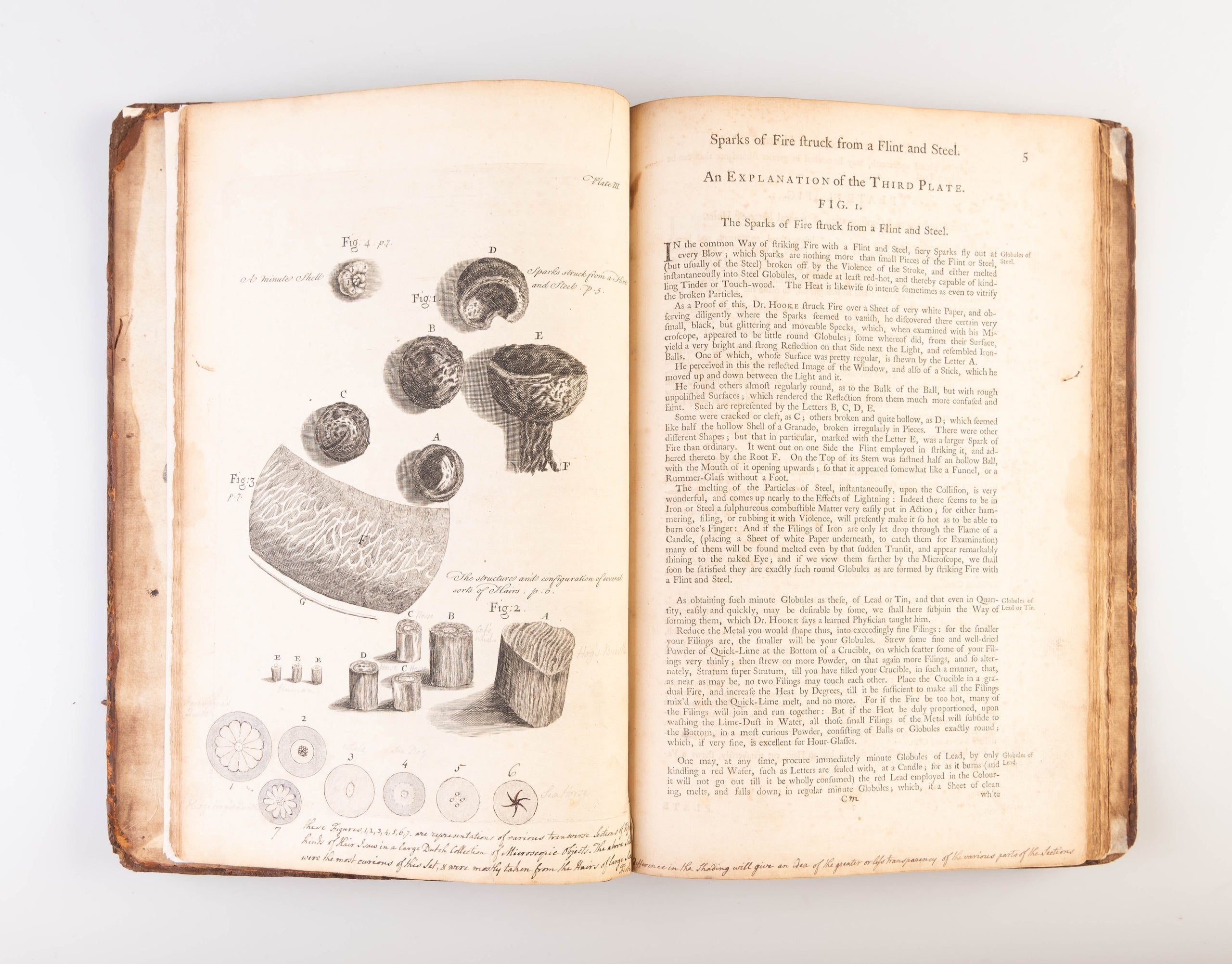 Micrographia Restaurata: