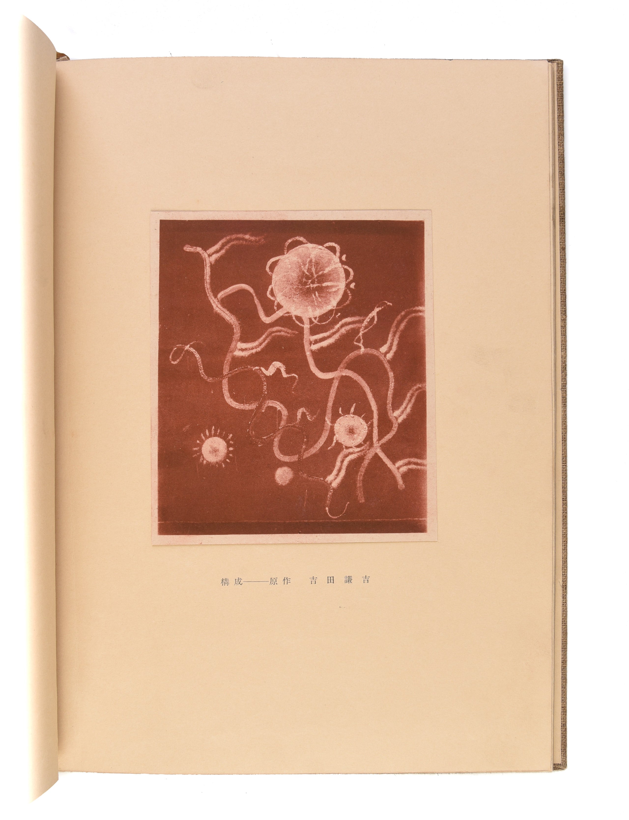 MAVO Senshoku zuan shu. [MAVO Collection of Designs for Dyeing and Weaving].