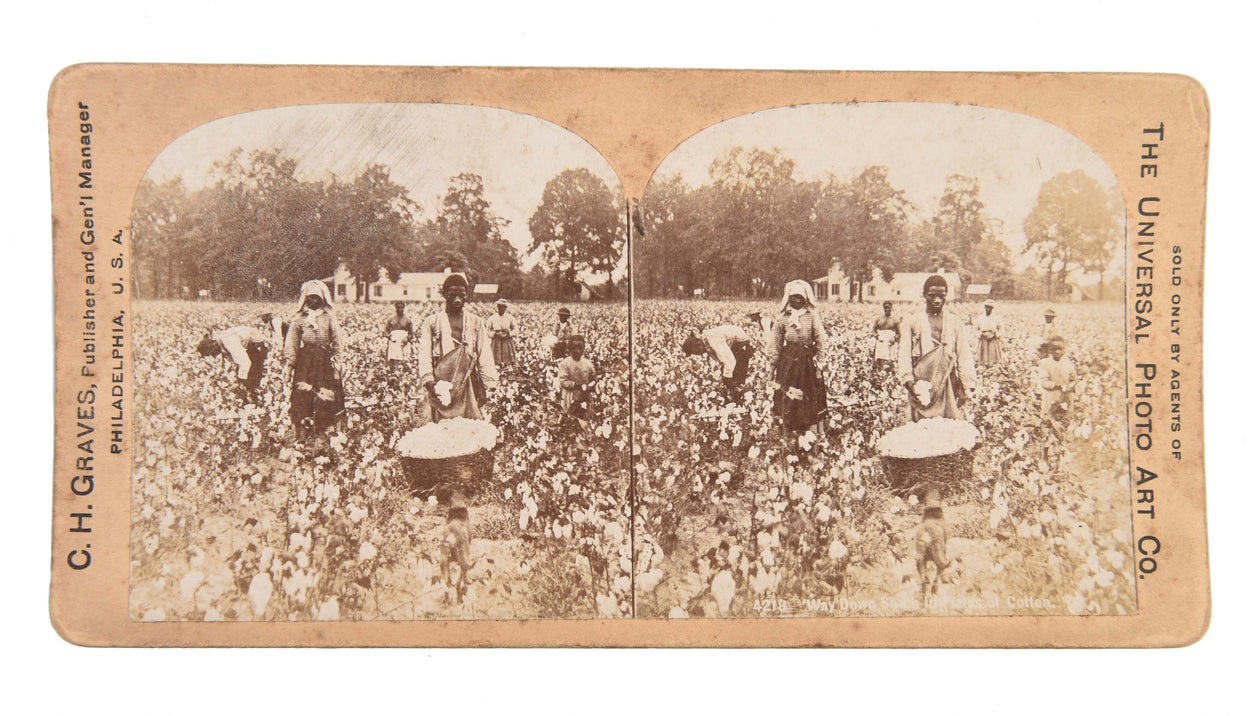 [Five stereocards illustrating Jamaica & the South.]