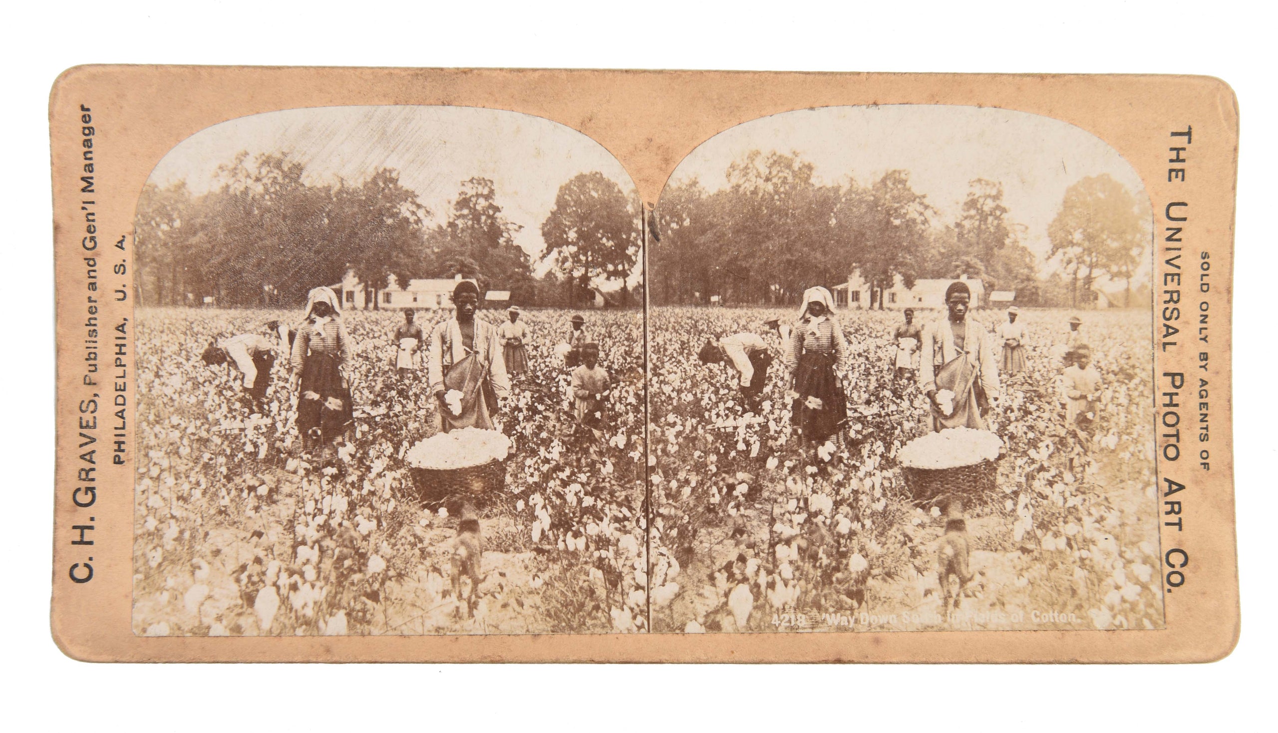 [Five stereocards illustrating Jamaica & the South.]
