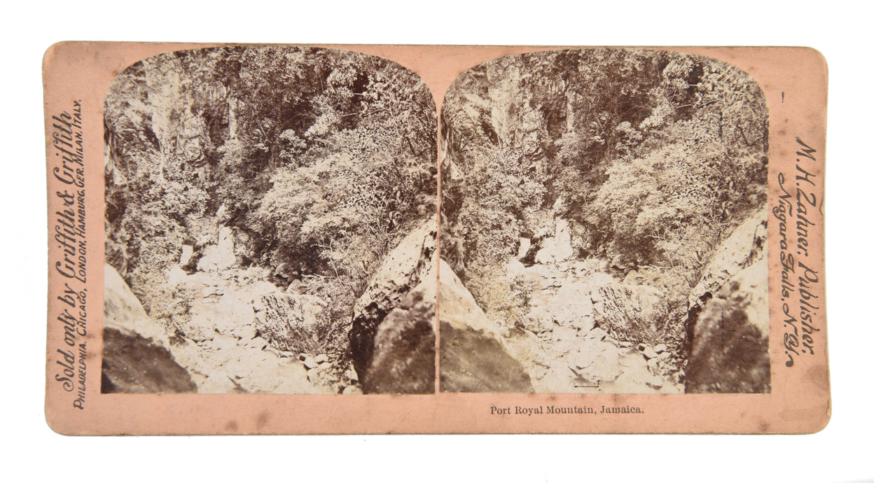 [Five stereocards illustrating Jamaica & the South.]