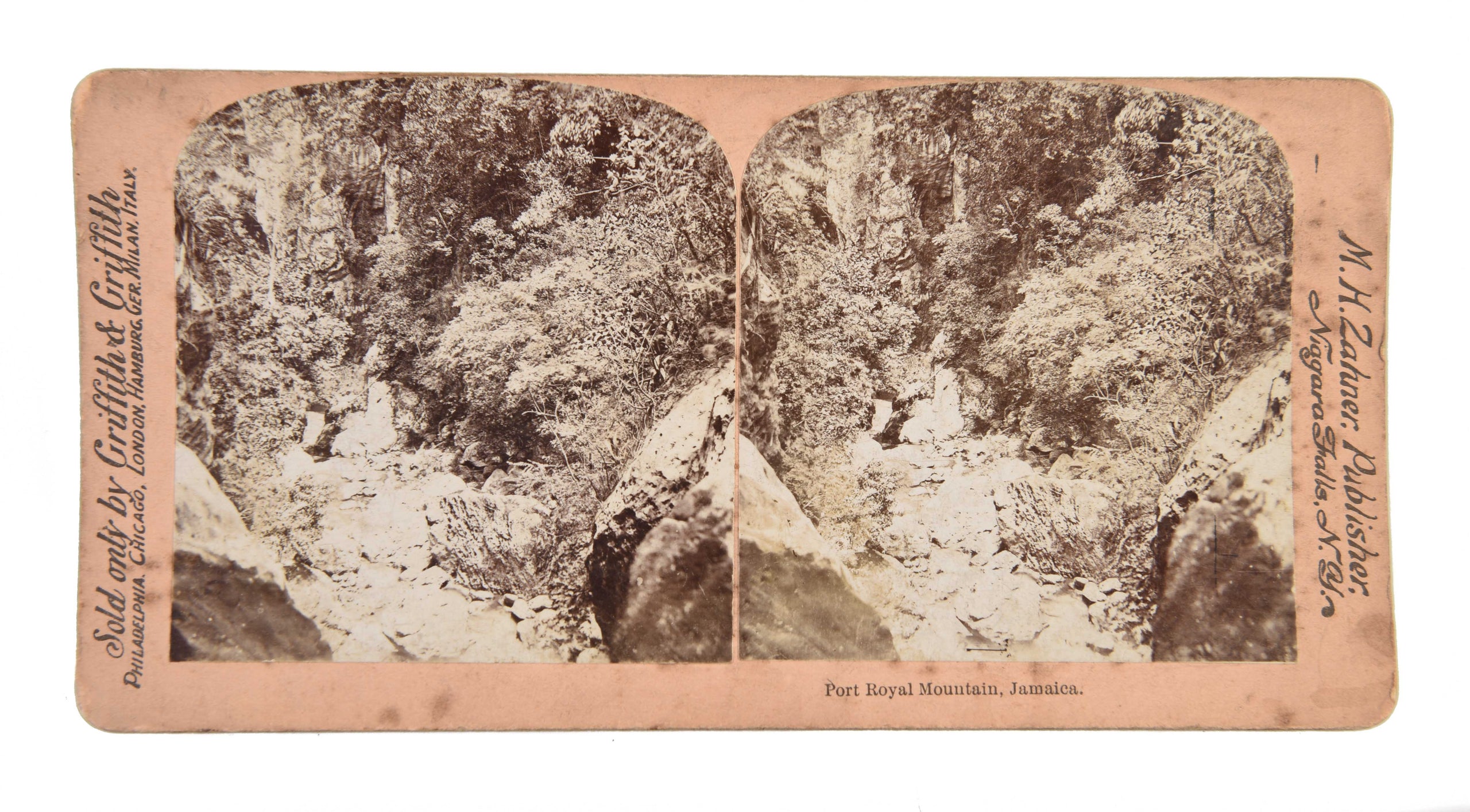[Five stereocards illustrating Jamaica & the South.]