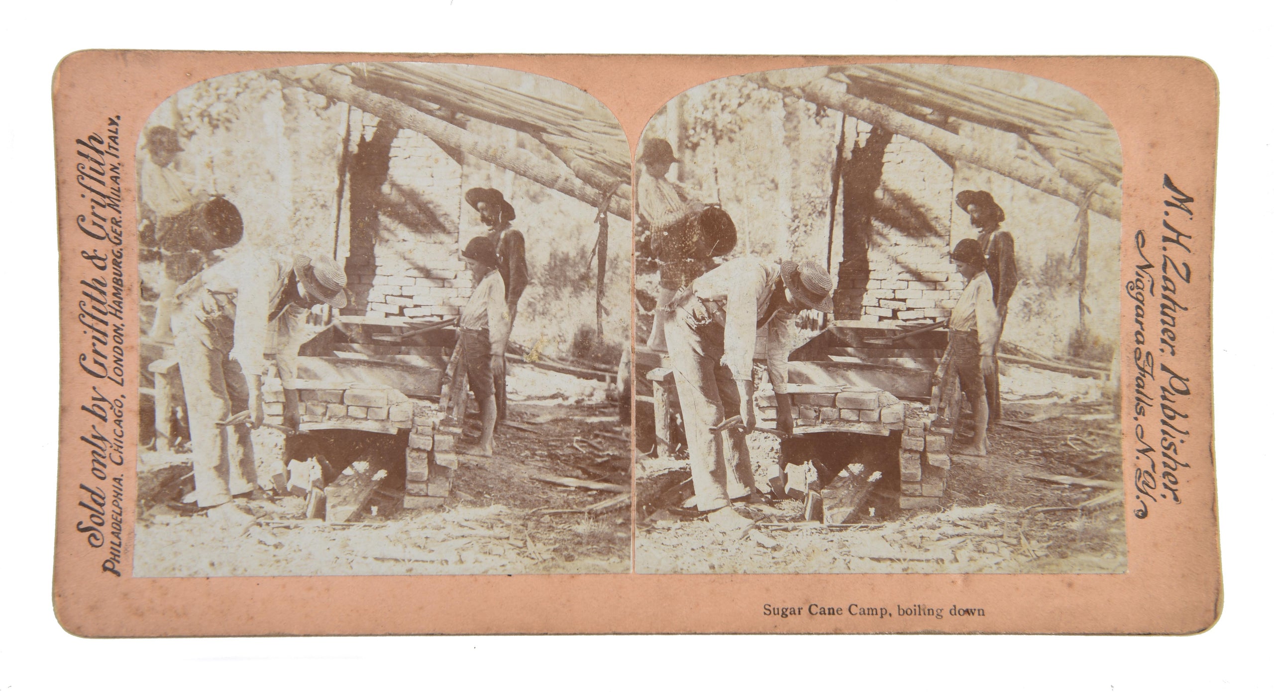 [Five stereocards illustrating Jamaica & the South.]