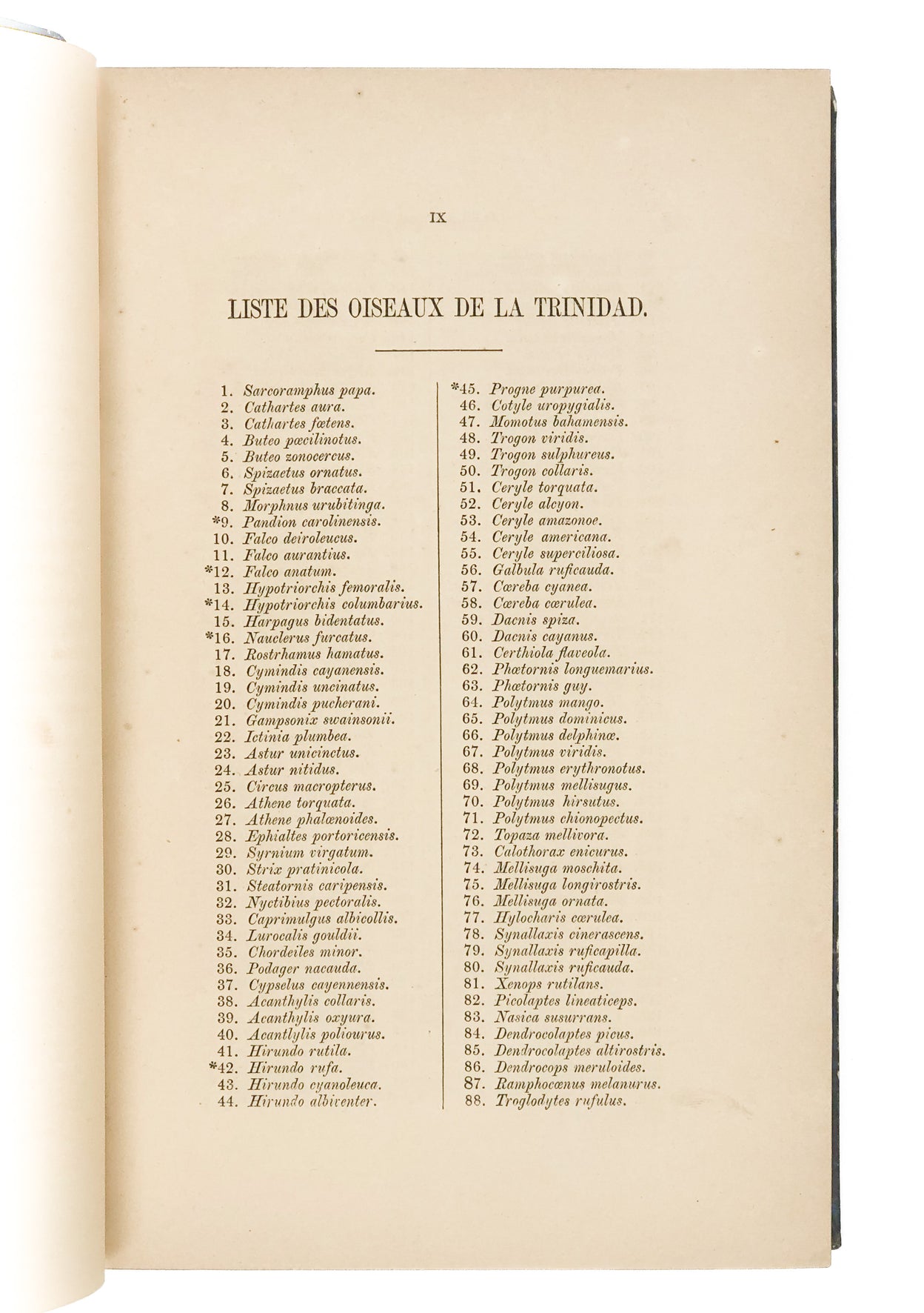 Oiseaux de l'Île de la Trinidad (Antilles).