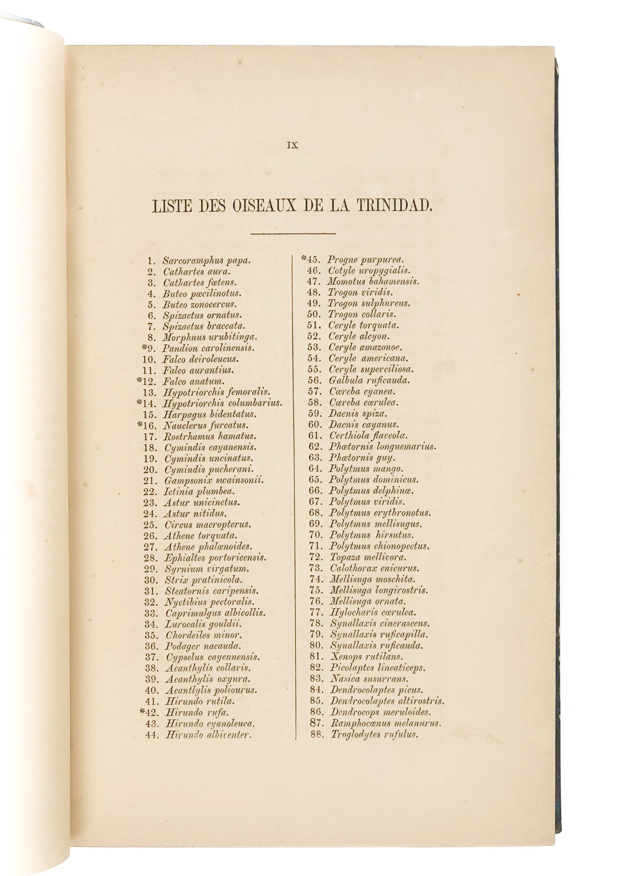 Oiseaux de l'Île de la Trinidad (Antilles).