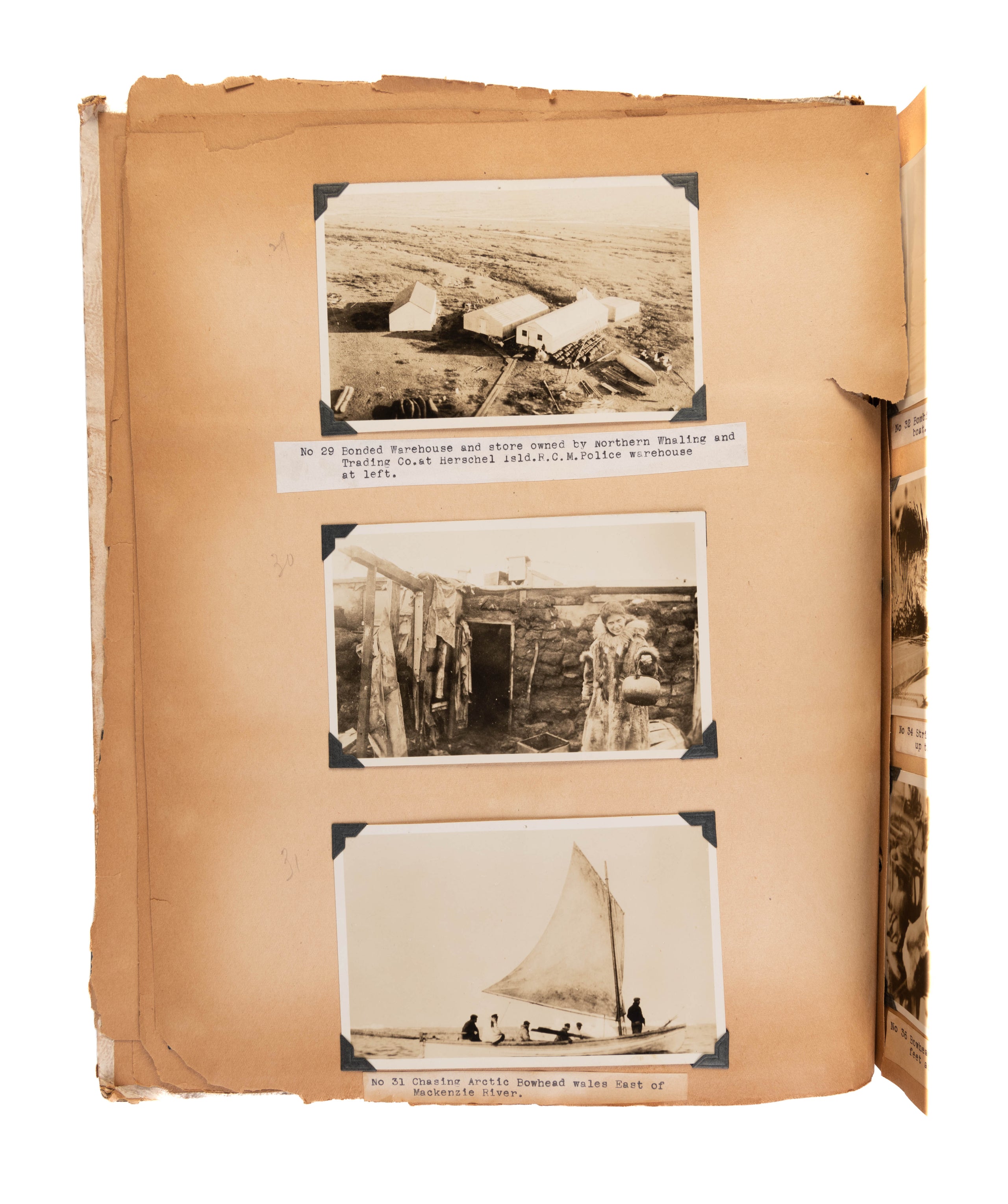 [Album of photographs of whaling and trading voyages.]
