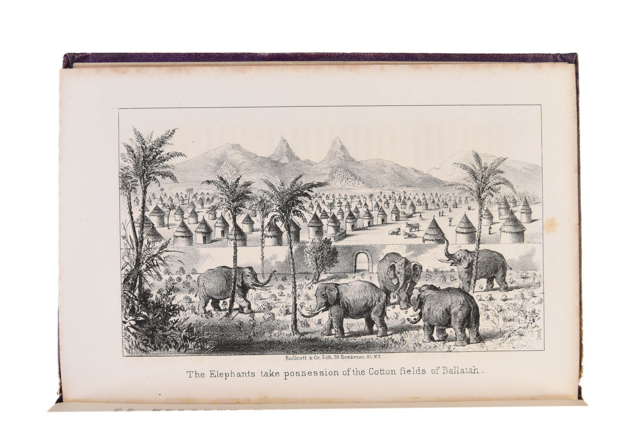 Narrative of a Journey to Musardu, to the Capital of the Western Mandigoes.