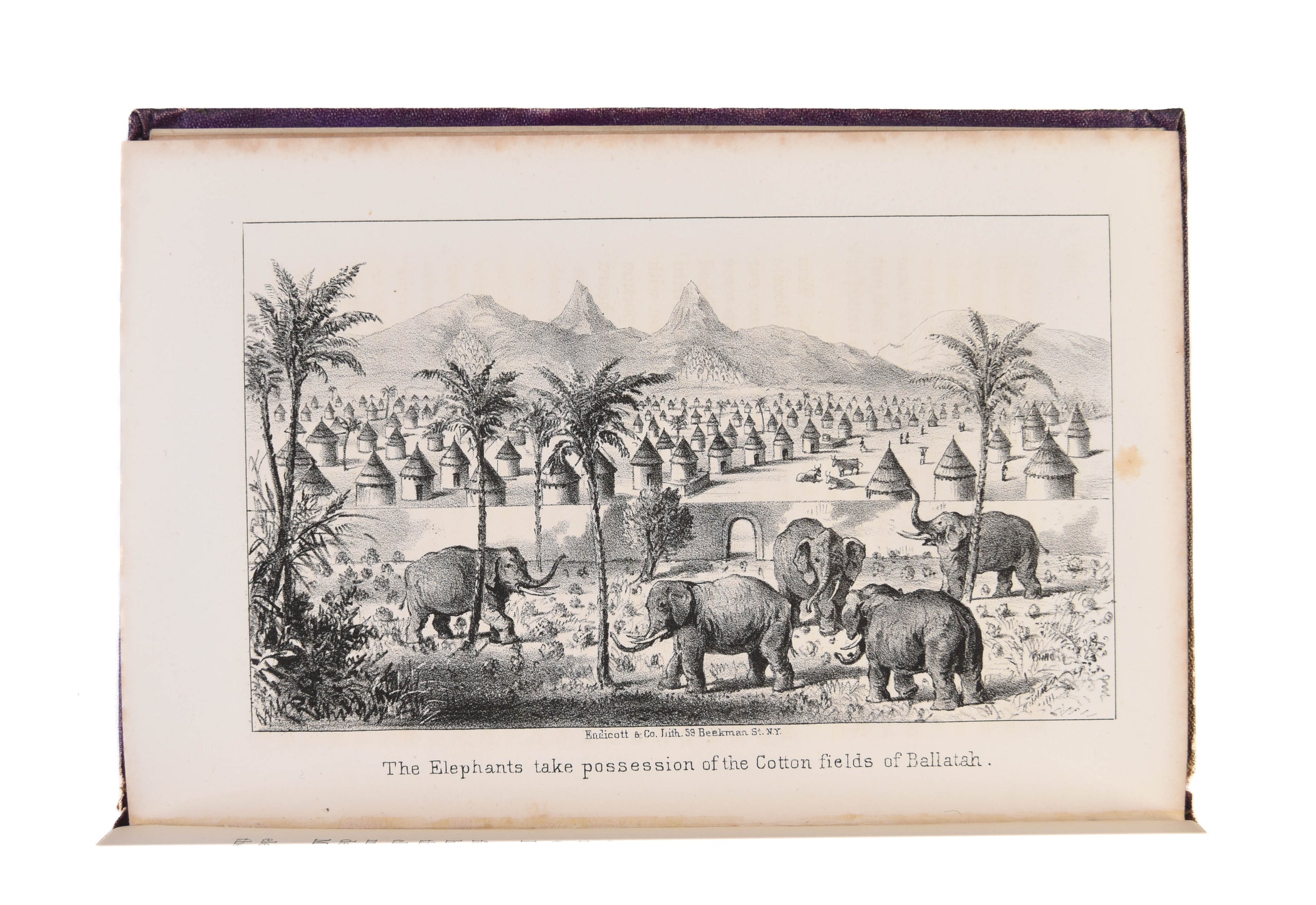 Narrative of a Journey to Musardu, to the Capital of the Western Mandigoes.