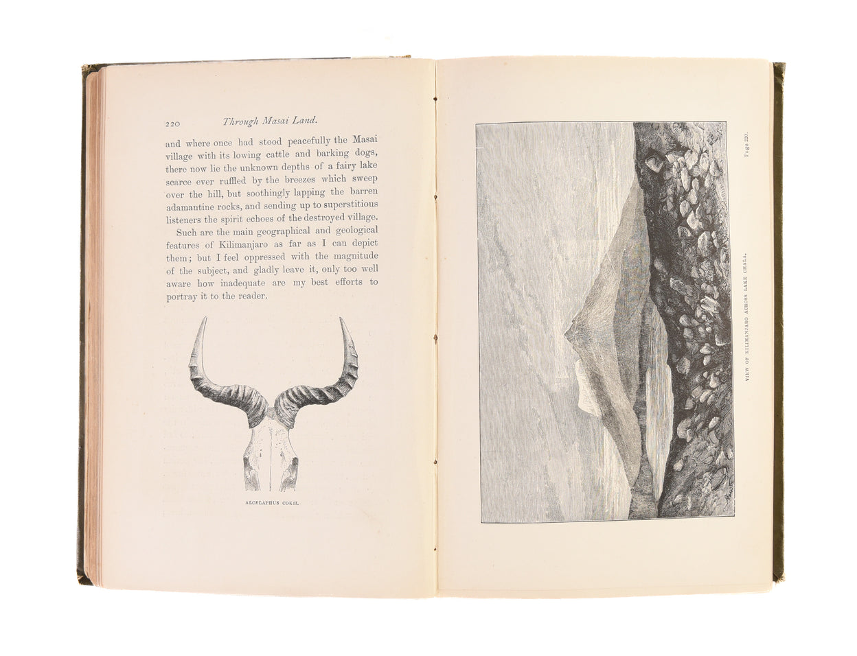 Through Masai Land: A Journey of Exploration Among the Snowclad Volcanic Mountains and Strange Tribes of Eastern Equatorial Africa.