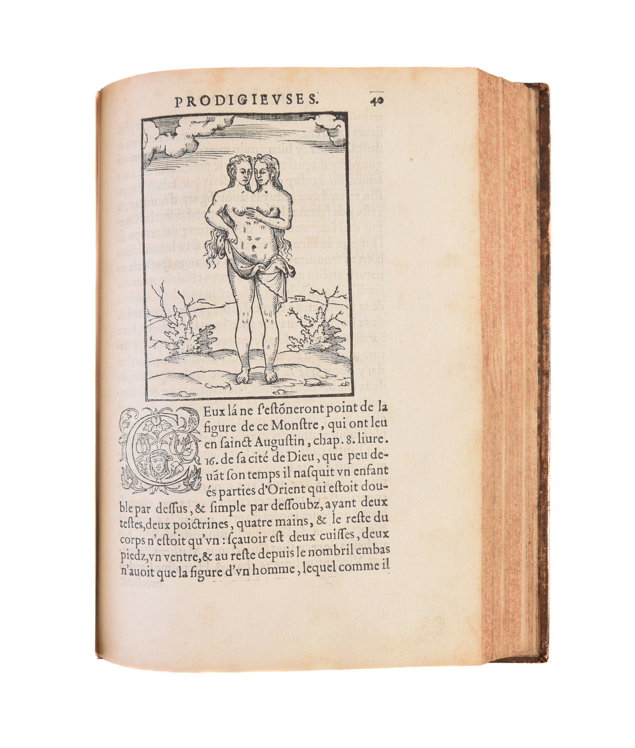 Histoires prodigieuses... extraictes de plusieurs fameux autheurs, Grecs & Latins, sacrez & prophanes: mises en nostre langue par P. Boaistuau, surnomé Launay, natif de Bretagne: avec les pourtraicts & figures.
Paris,