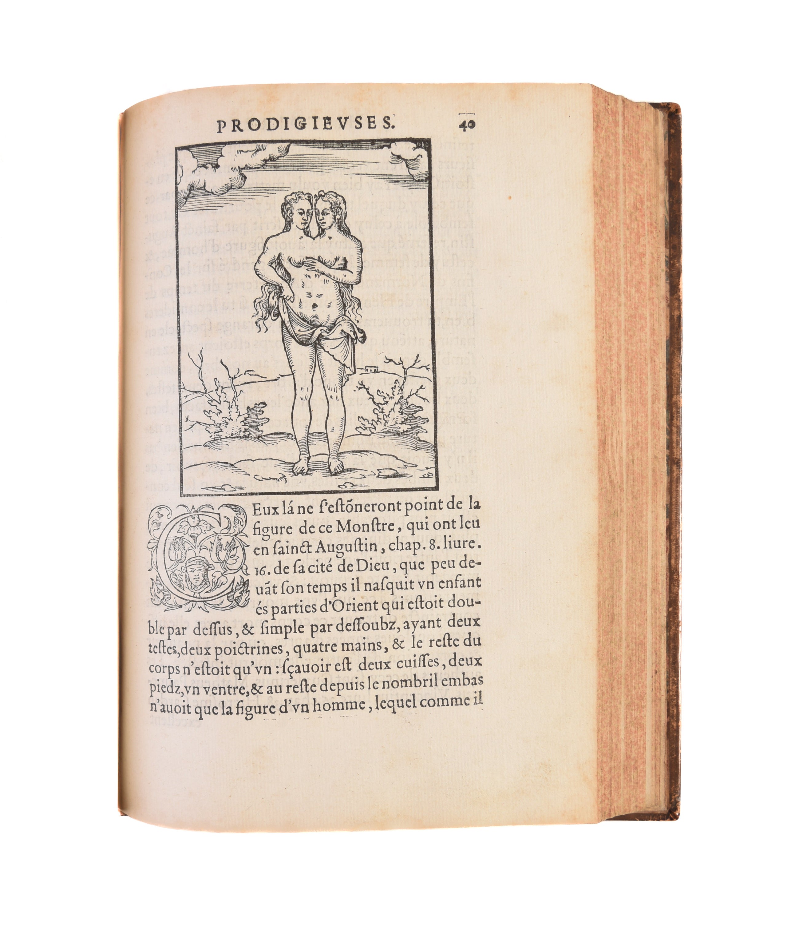 Histoires prodigieuses... extraictes de plusieurs fameux autheurs, Grecs & Latins, sacrez & prophanes: mises en nostre langue par P. Boaistuau, surnomé Launay, natif de Bretagne: avec les pourtraicts & figures.
Paris,