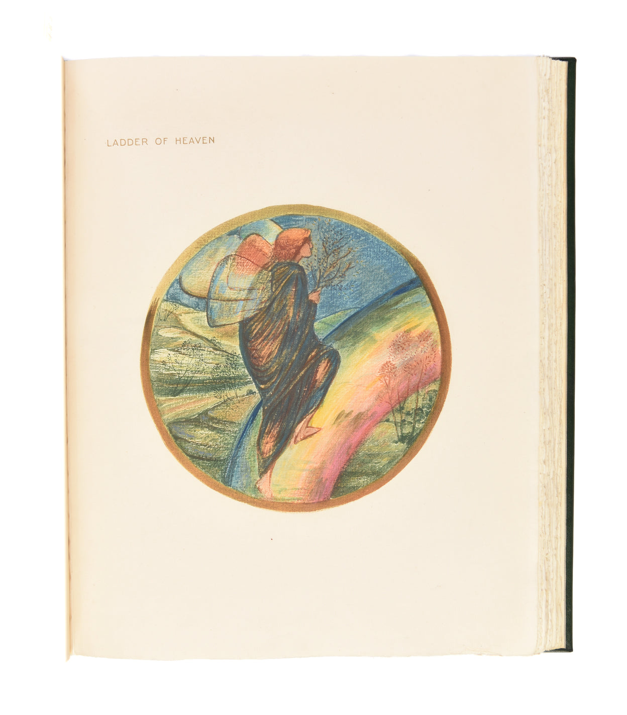 The Flower Book.