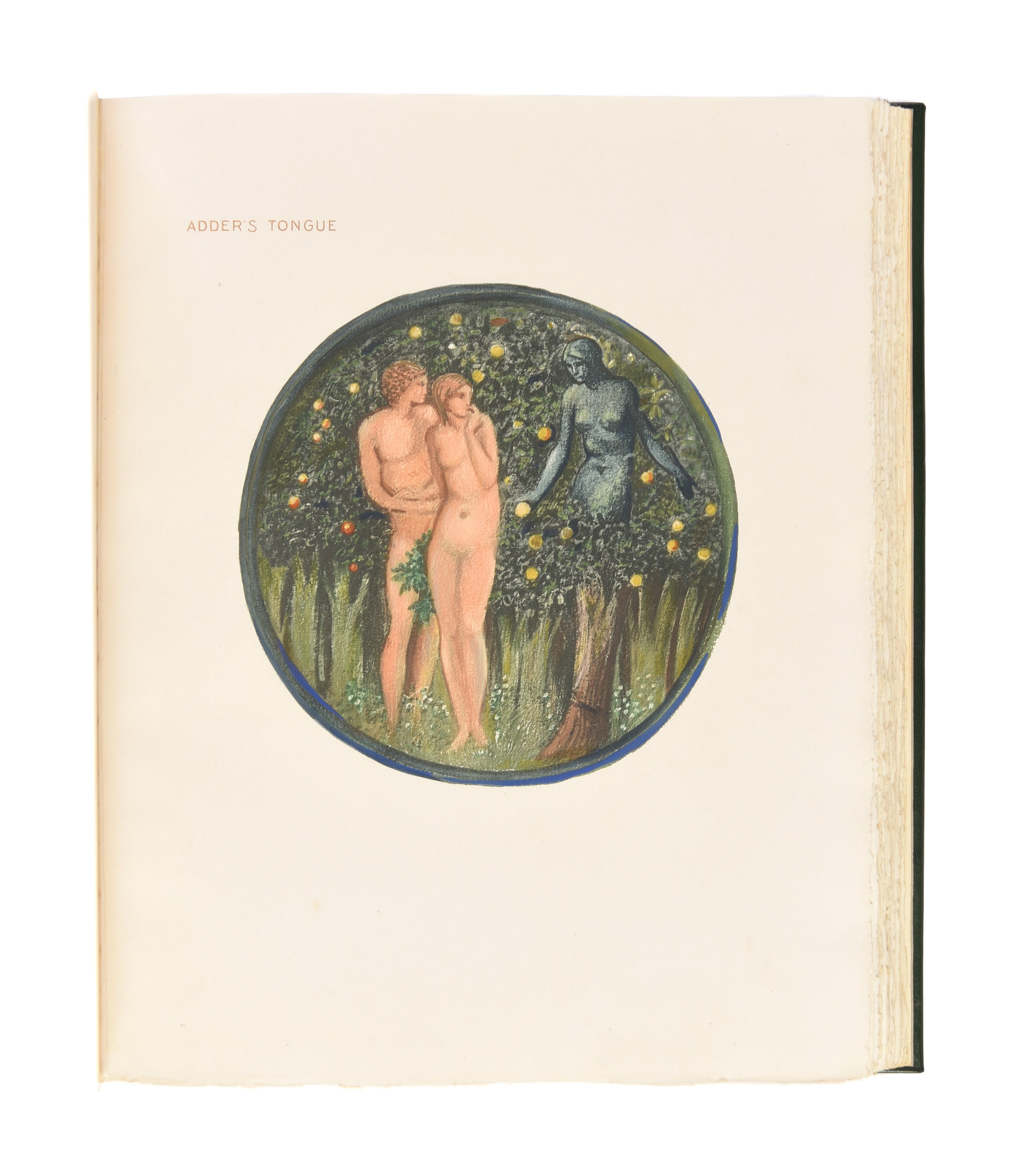 The Flower Book.