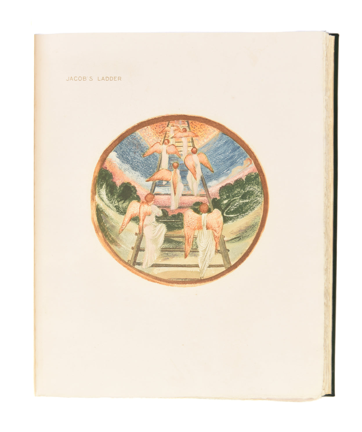 The Flower Book.