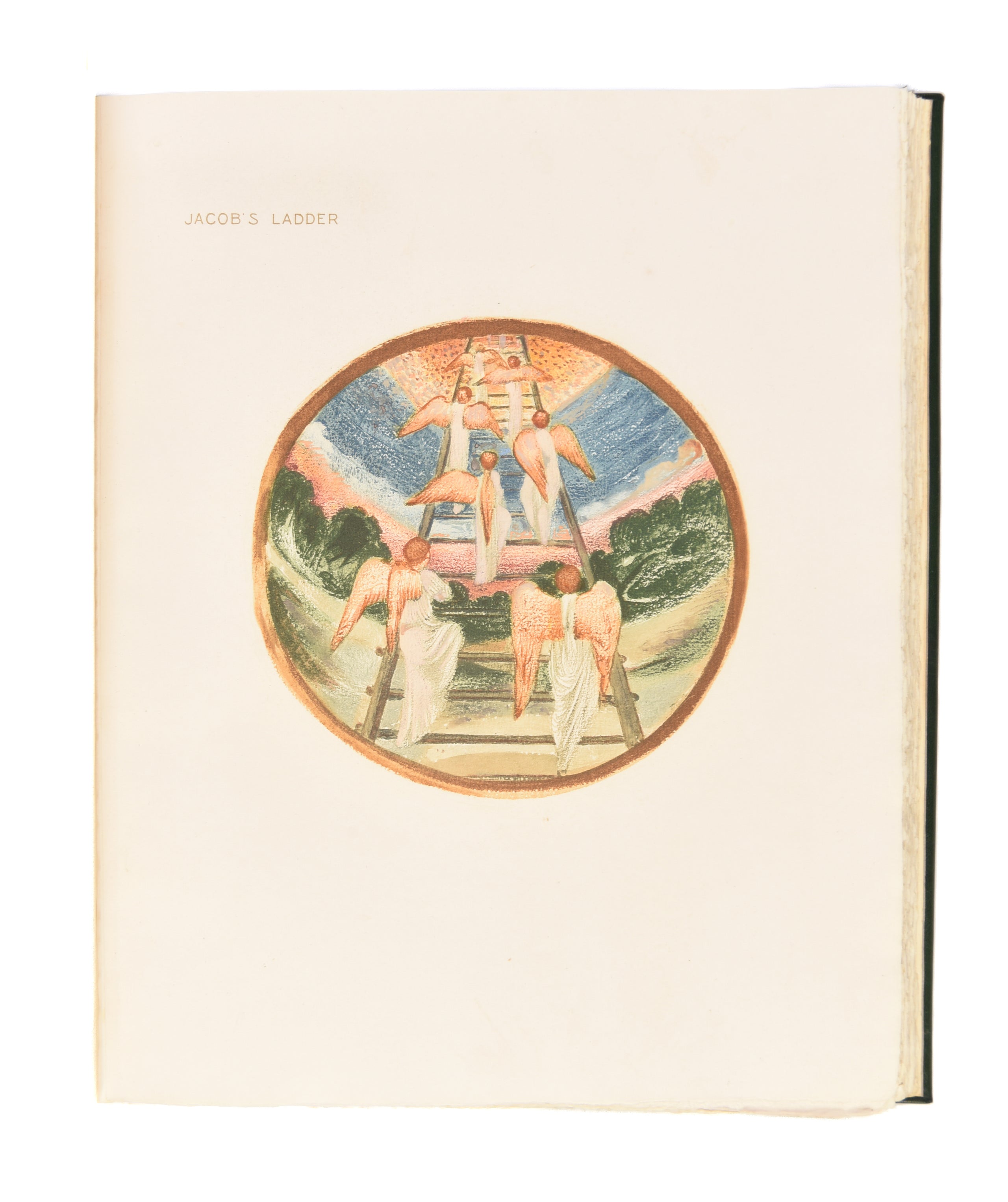 The Flower Book.