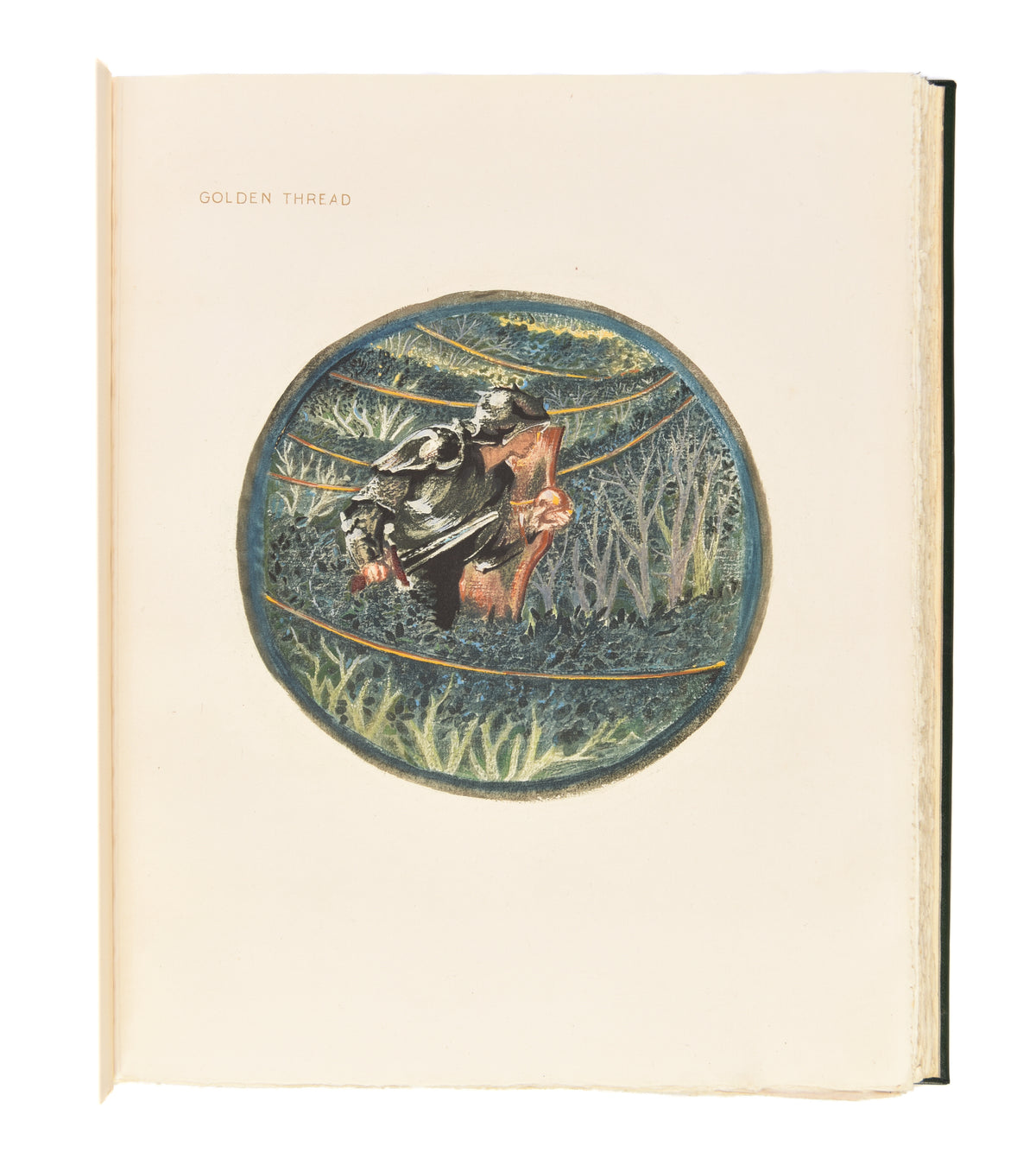 The Flower Book.