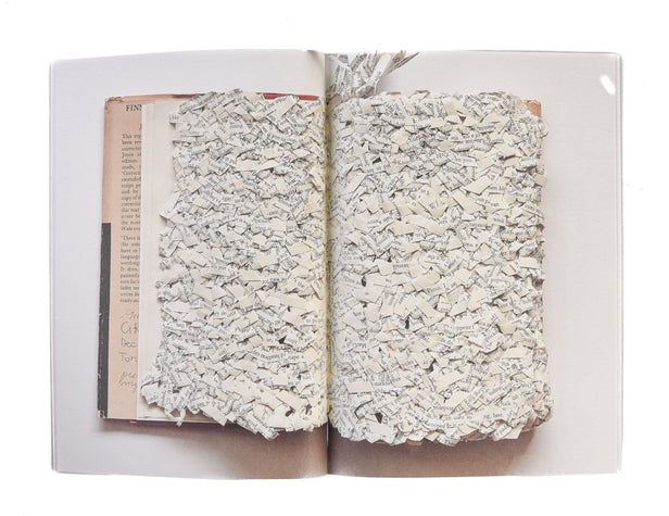 Reading Finnegans Wake
