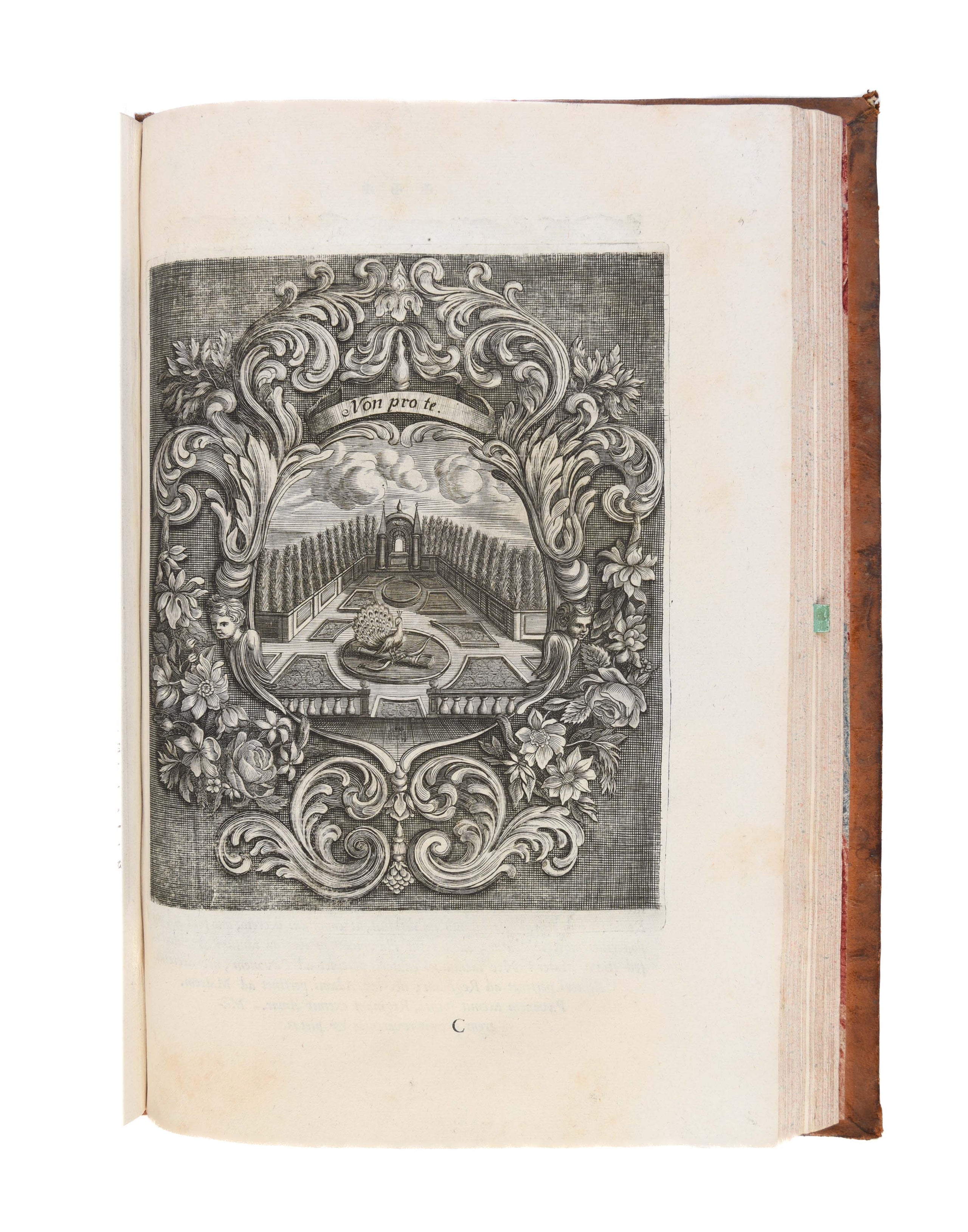 Innocentia vindicata, in qua gravissimis argumentis ex S. Thoma petitis ostenditur. Pars prior: Theologica, pars posterior: Symbolica.  
St. Gall, Jakob Müller (for the monastery), 1695
