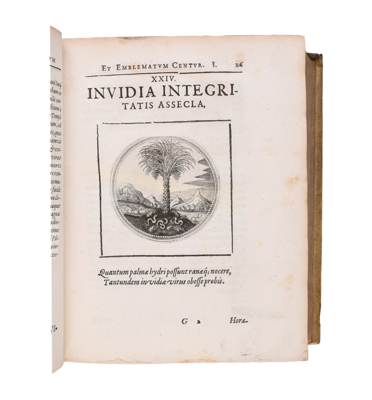 Symbolorum et emblematum ex re herbaria desmumtorum centuria una collecta.
Frankfurt, Johann Ammonius, 1654