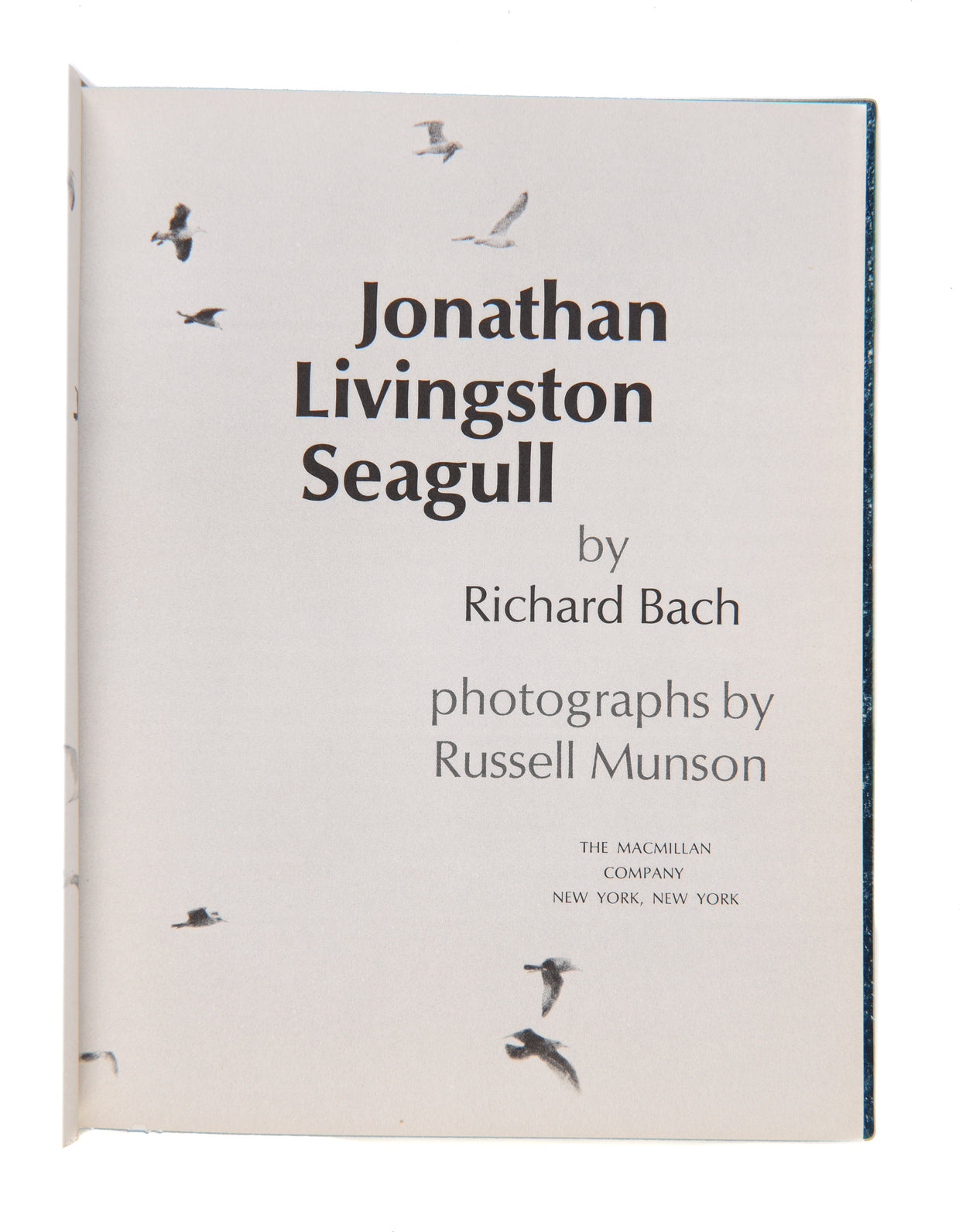 Jonathan Livingstone Seagull.