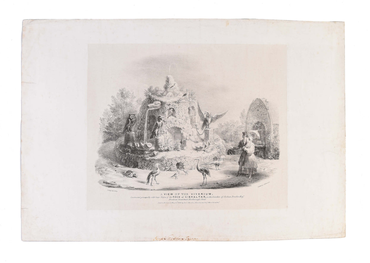 A View of the Vivarium, constructed principally with large masses of the Rock of Gibraltar, in the garden of Joshua Brookes Esq.