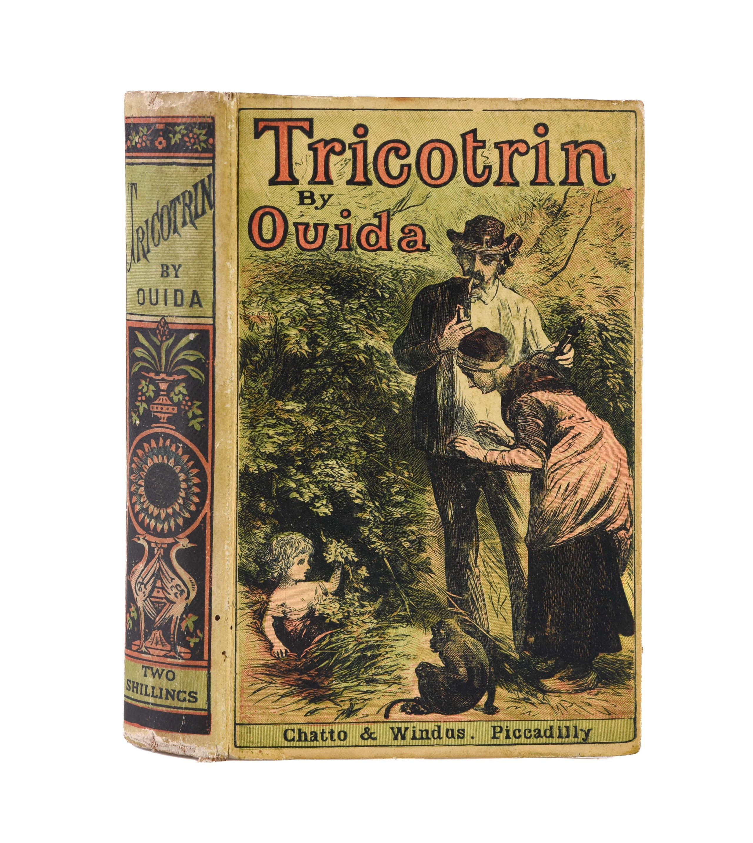 Tricotrin. The Story of a Waif & Stray.