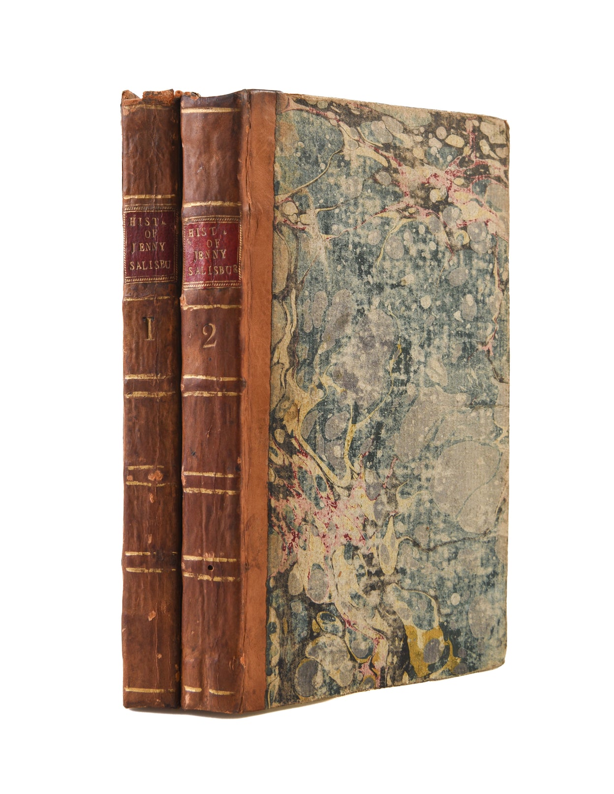 The History of Miss Jenny Salisbury;
