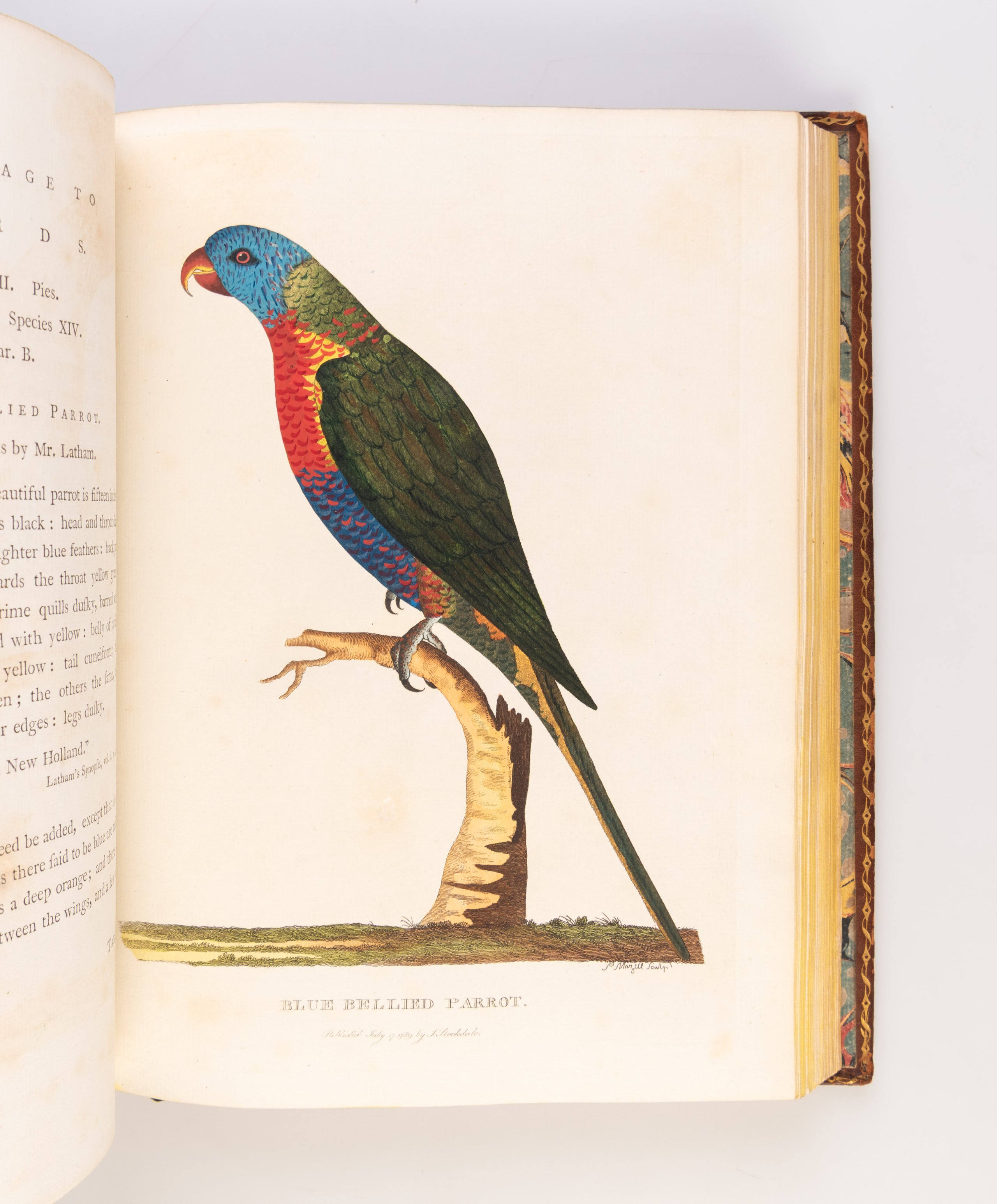 The Voyage of Governor Phillip to Botany Bay; with an Account of the Establishment of the Colonies of Port Jackson & Norfolk Island