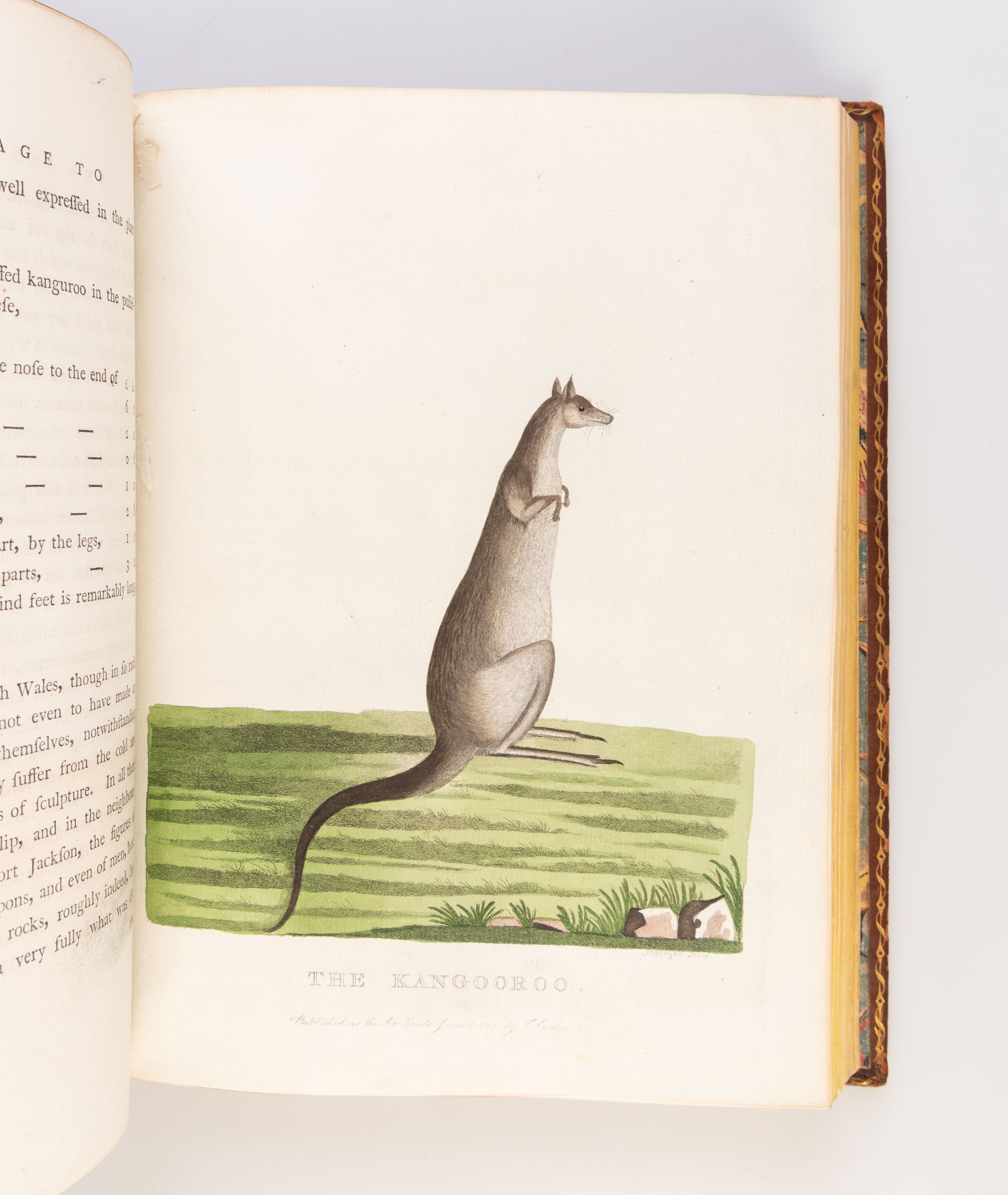 The Voyage of Governor Phillip to Botany Bay; with an Account of the Establishment of the Colonies of Port Jackson & Norfolk Island