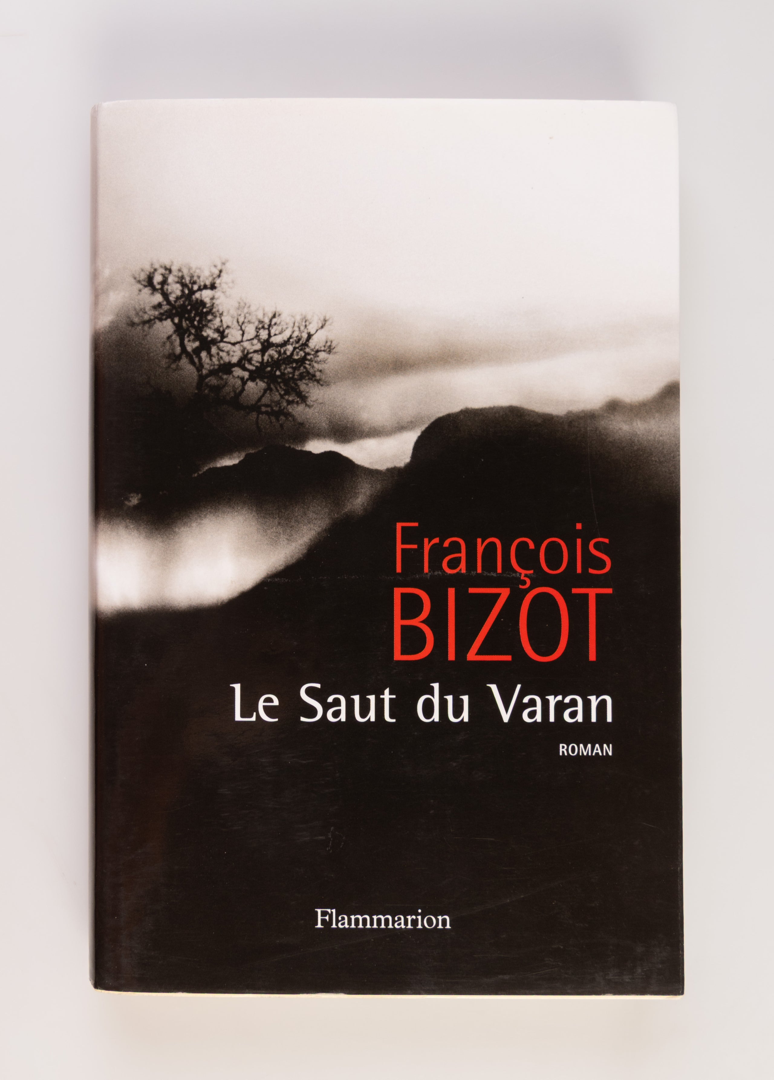 Le Saut du Varan. Roman.