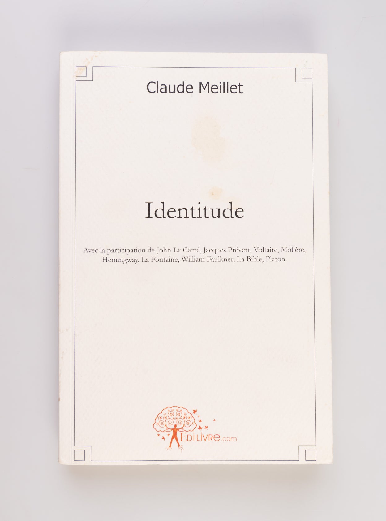 Identitude ou La Révolution identitaire.