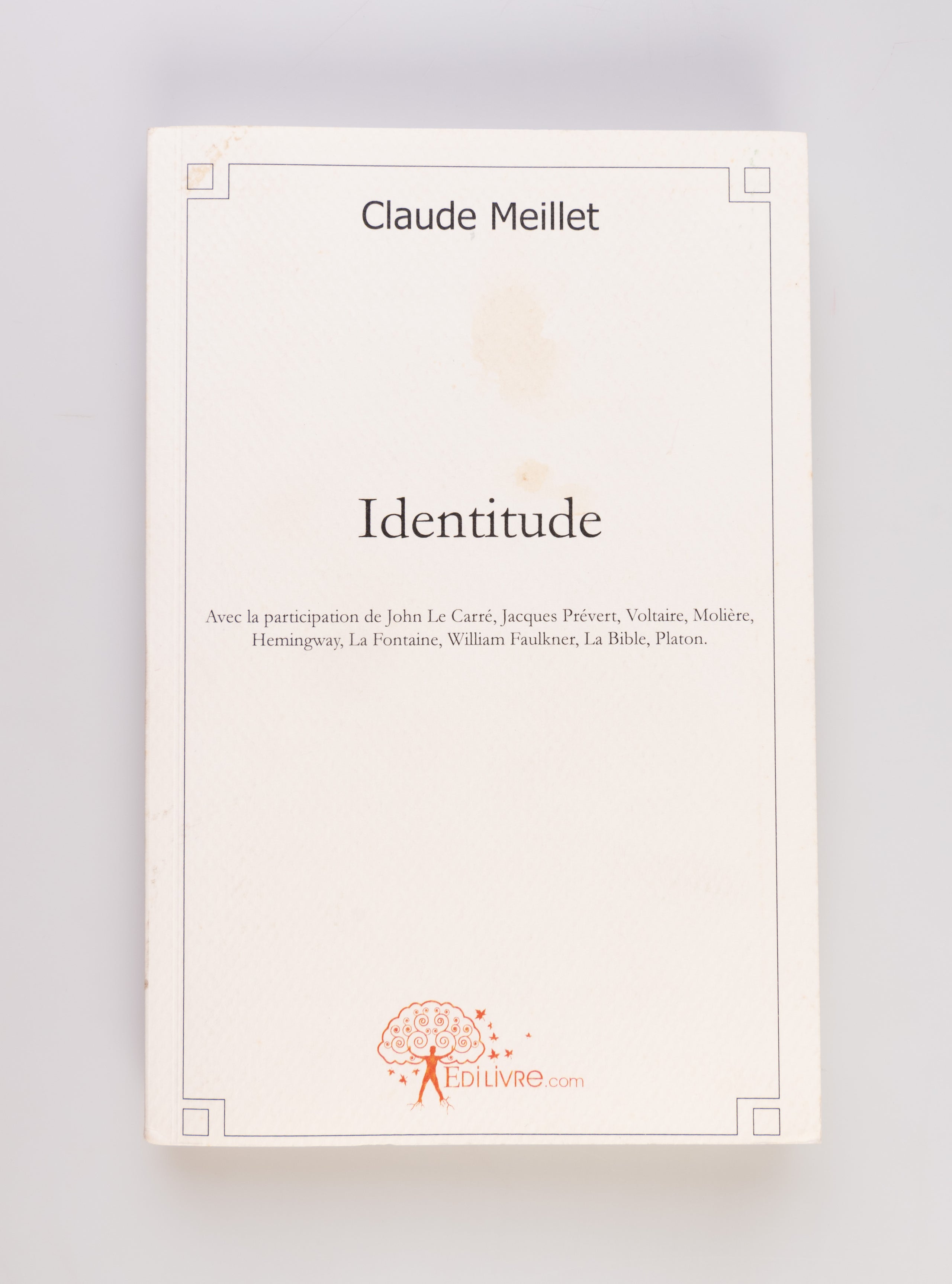 Identitude ou La Révolution identitaire.