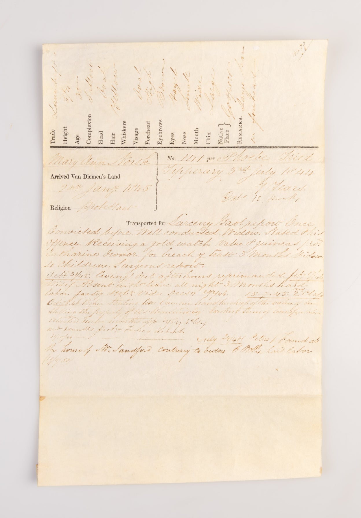 [Four convict disciplinary reports: Mary Murray, Mary Ann North, James Woolf and William White.]