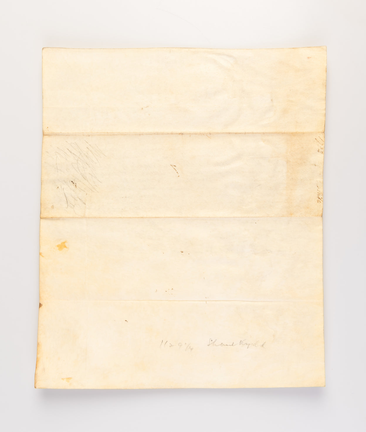 [Four convict disciplinary reports: Mary Murray, Mary Ann North, James Woolf and William White.]