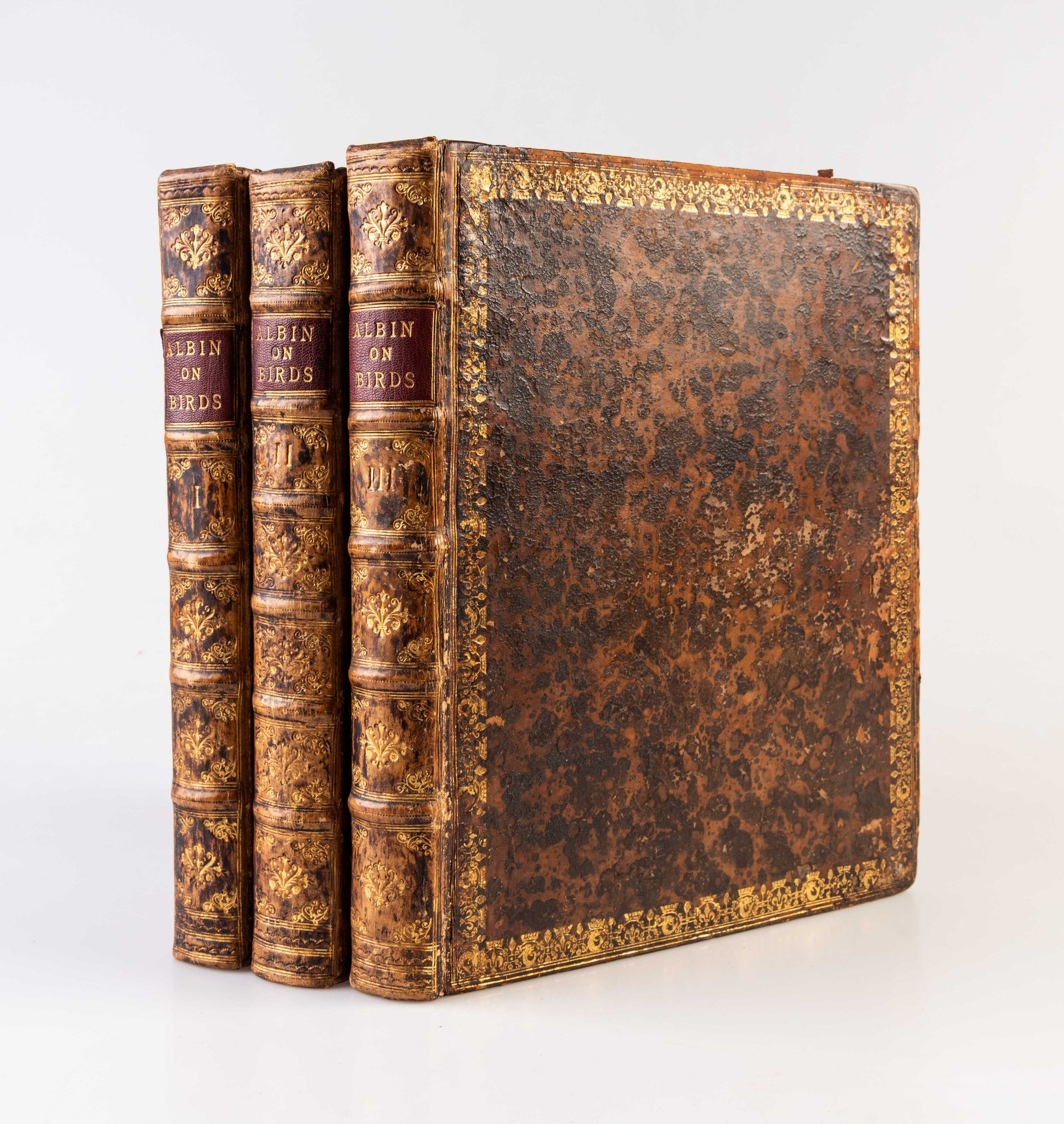 A natural history of birds ... published by the author ... and carefully colour'd by his daughter and himself from the originals, drawn from the live birds.